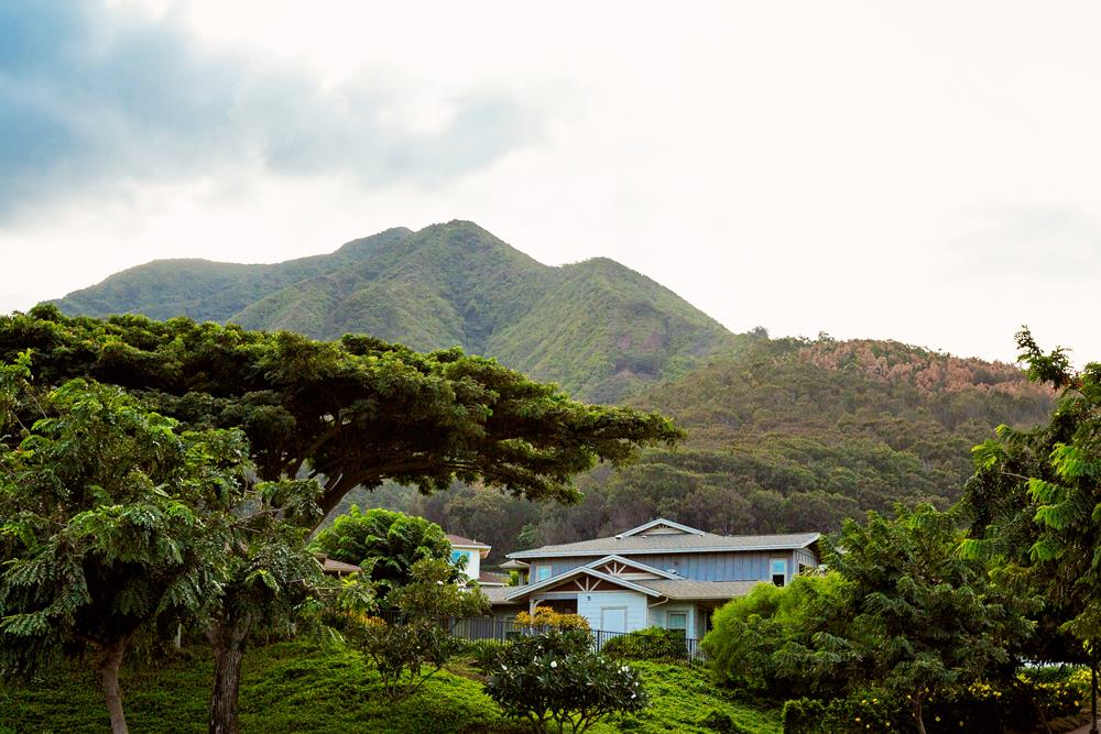 Hoolea Terrace at Kehalani condo # 2804, Wailuku, Hawaii - photo 28 of 29