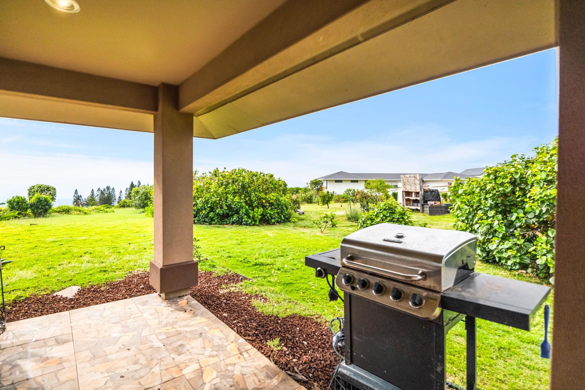 143  Leiohu Cir , Makawao/Olinda/Haliimaile home - photo 46 of 50