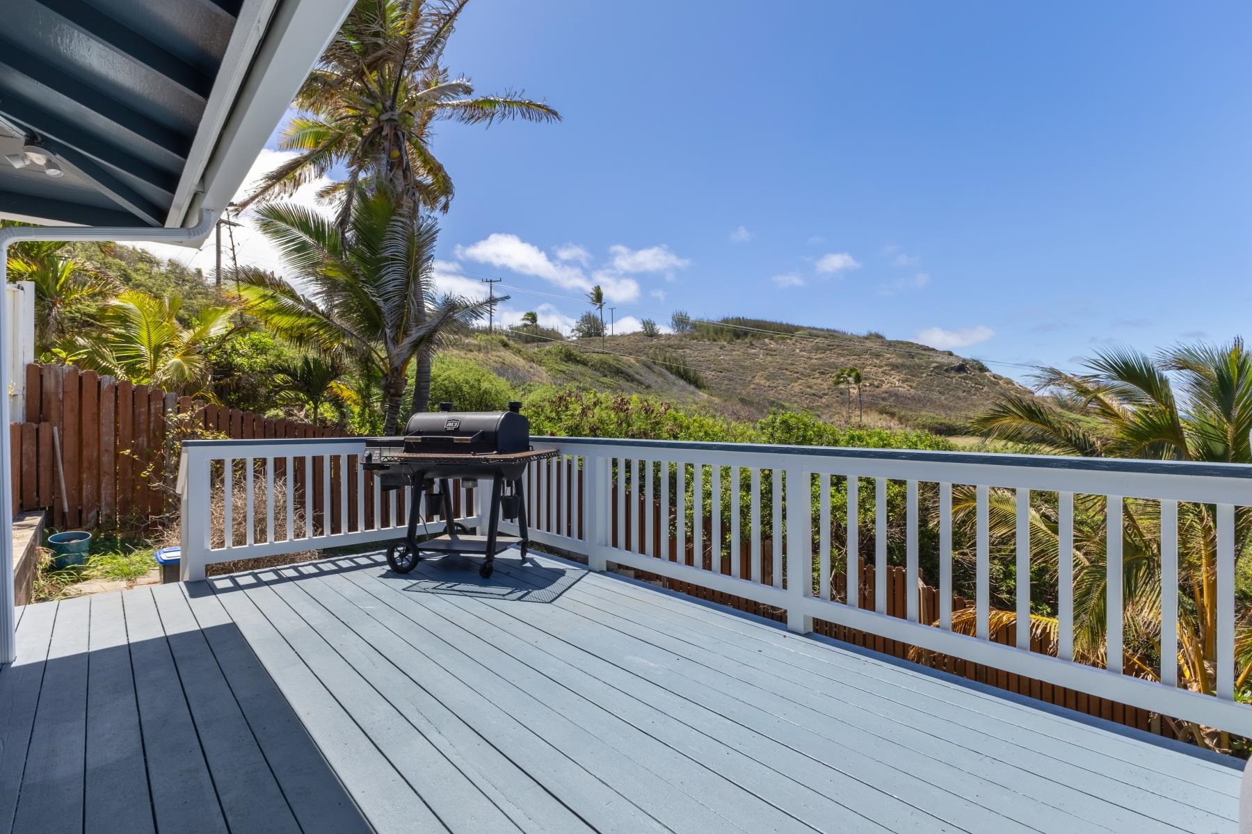 1442  Hiahia Pl Waiehu, Wailuku home - photo 36 of 50