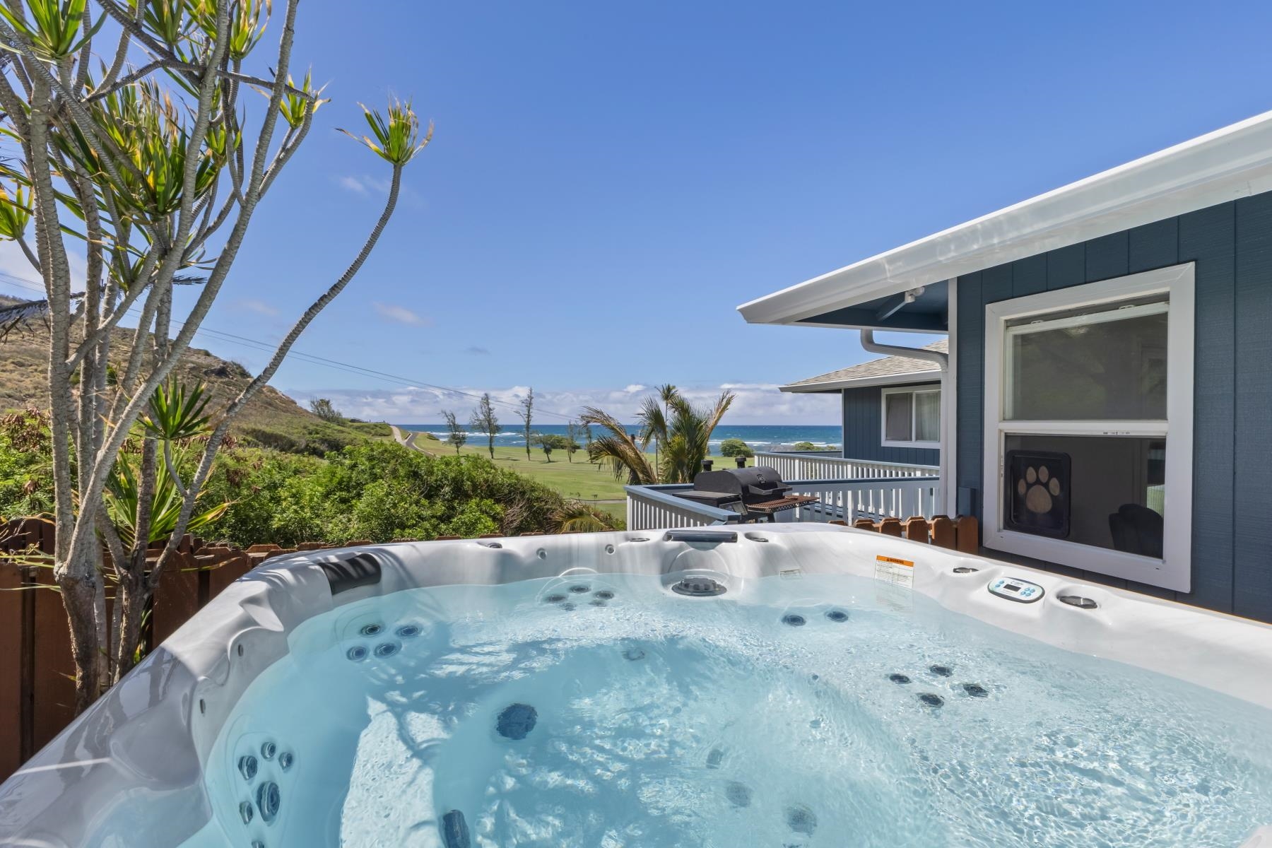 1442  Hiahia Pl Waiehu, Wailuku home - photo 41 of 50