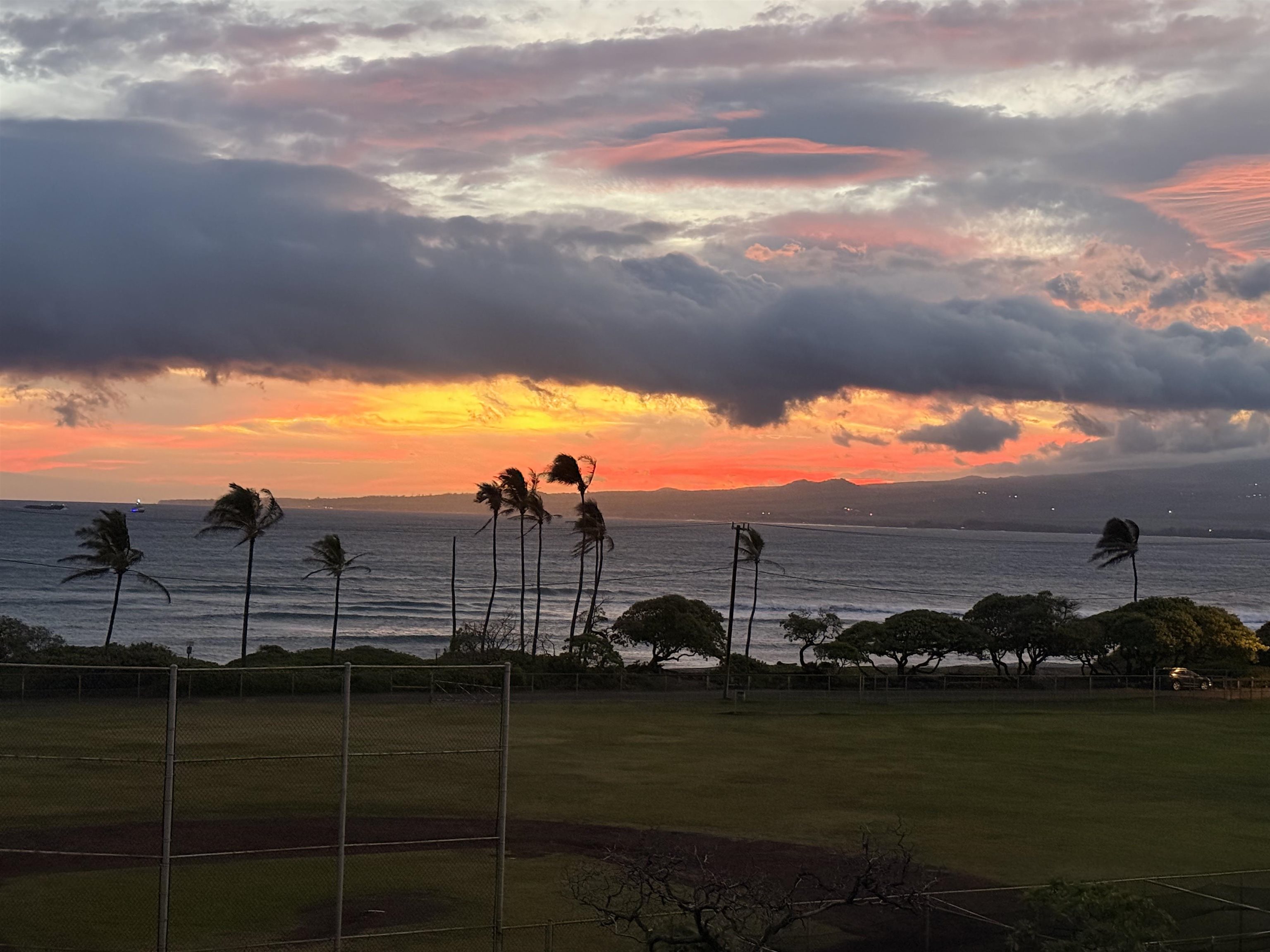 1442  Hiahia Pl Waiehu, Wailuku home - photo 49 of 50