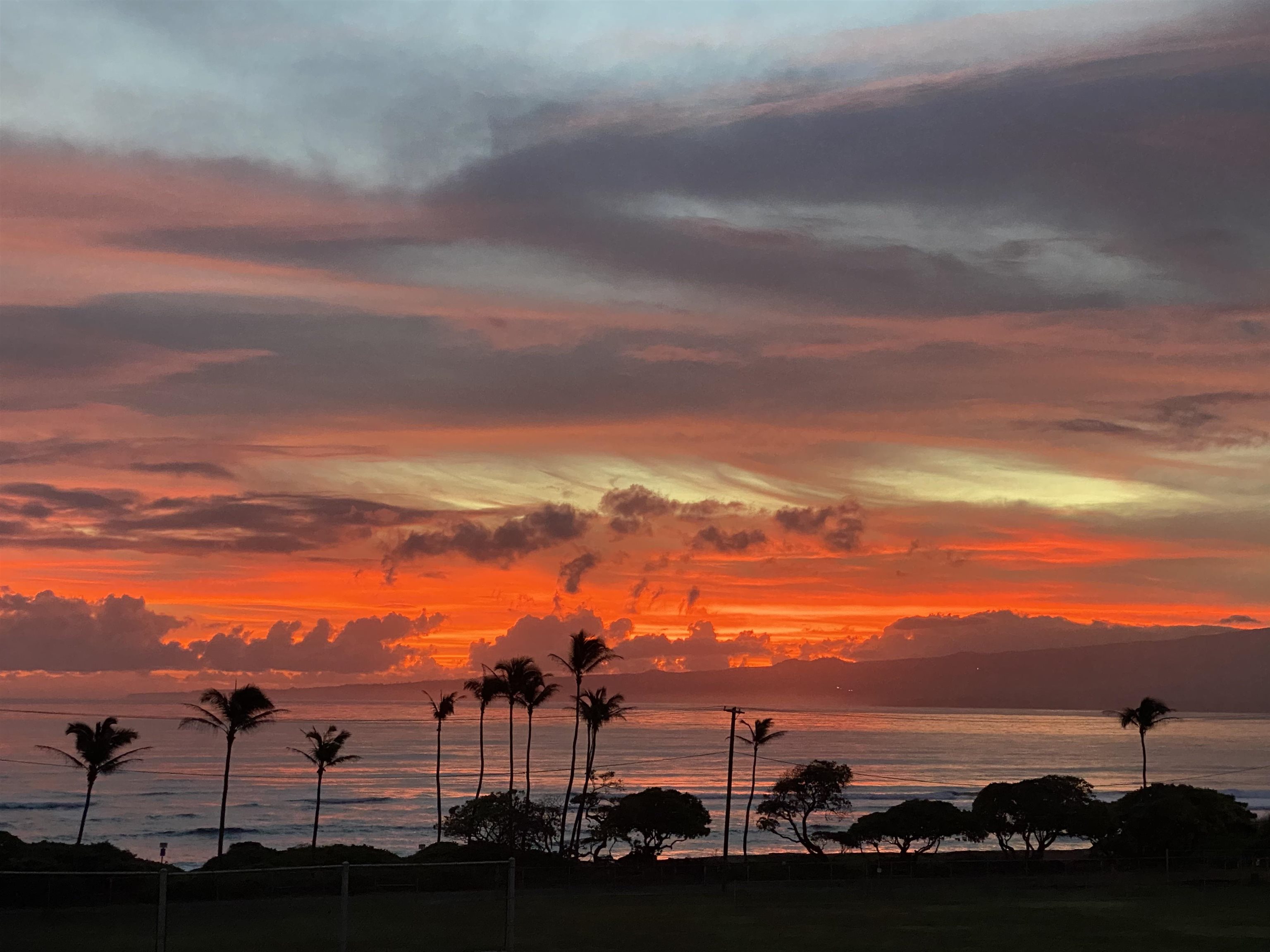 1442  Hiahia Pl Waiehu, Wailuku home - photo 50 of 50