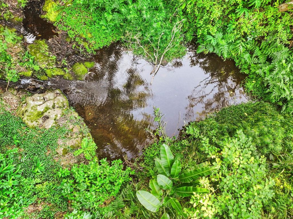 1444  Kuiaha Rd , Haiku home - photo 27 of 30