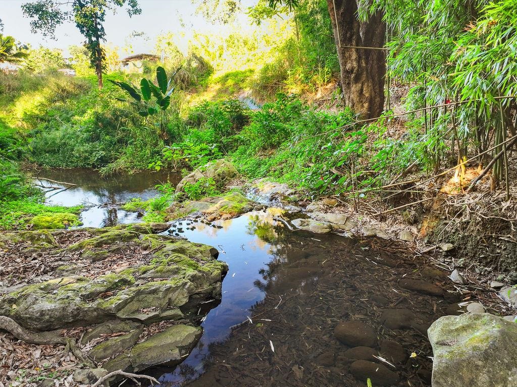 1444  Kuiaha Rd , Haiku home - photo 28 of 30