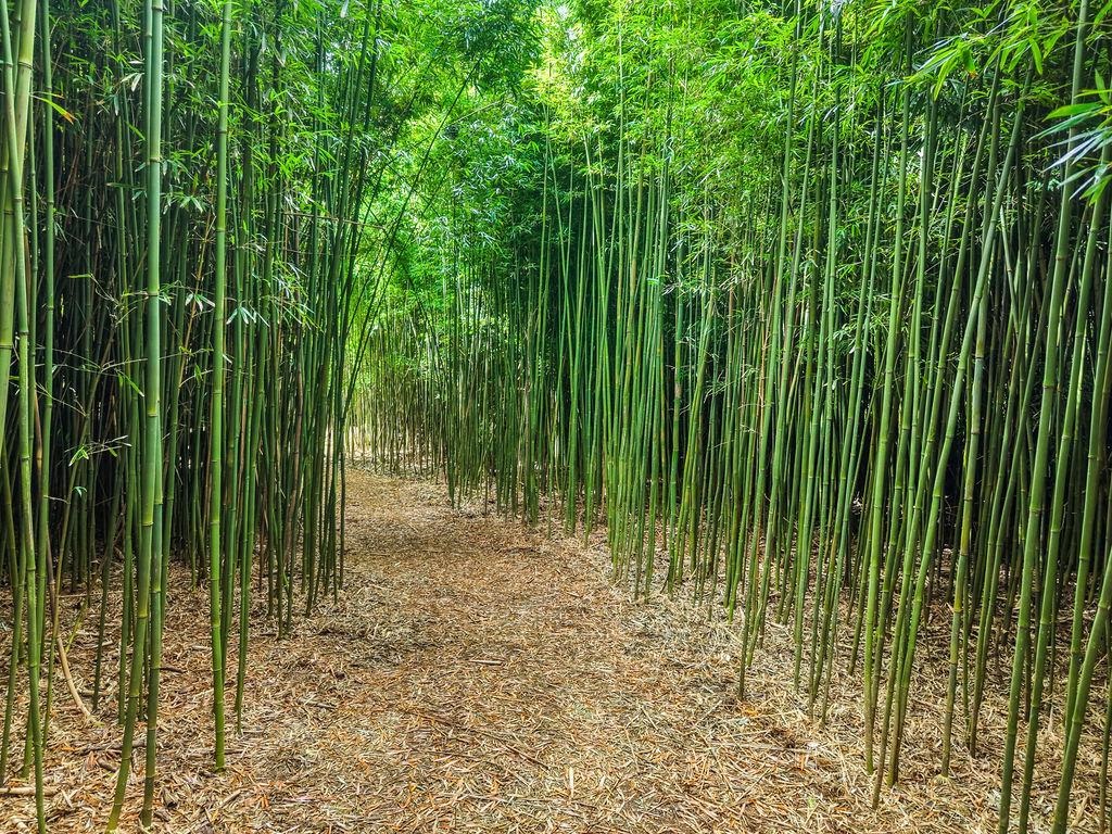 1444  W Kuiaha Rd , Haiku home - photo 29 of 29