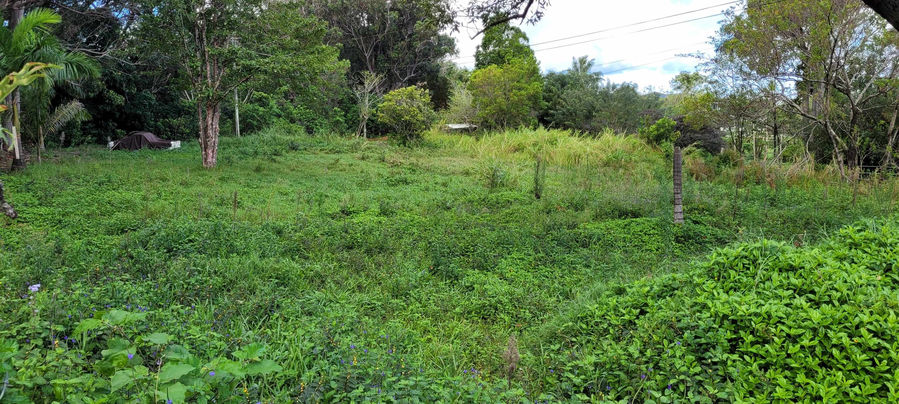 1448 Kuiaha Rd  Haiku, Hi vacant land for sale - photo 3 of 30