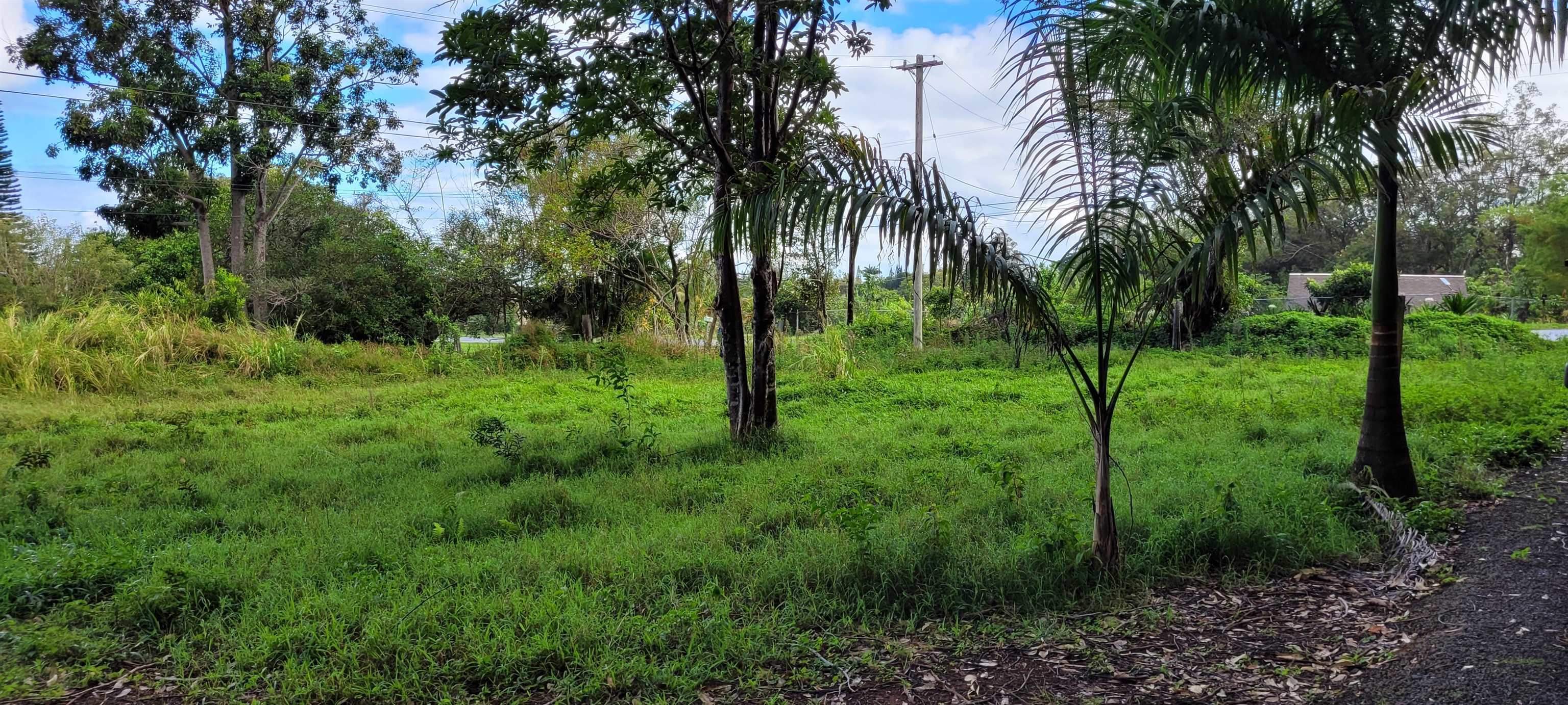 1448 Kuiaha Rd  Haiku, Hi vacant land for sale - photo 28 of 30