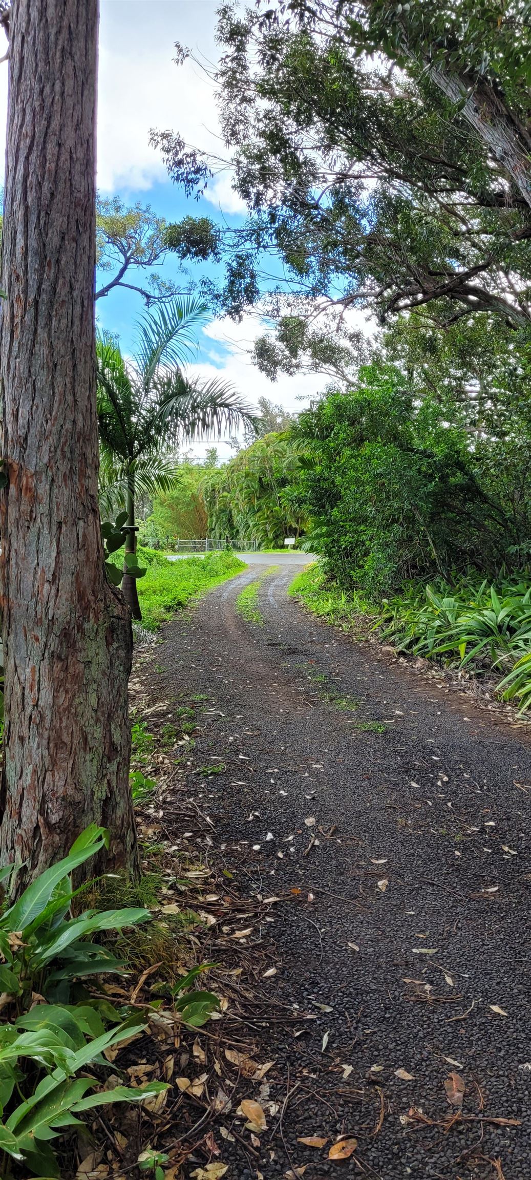 1448 Kuiaha Rd  Haiku, Hi vacant land for sale - photo 30 of 30