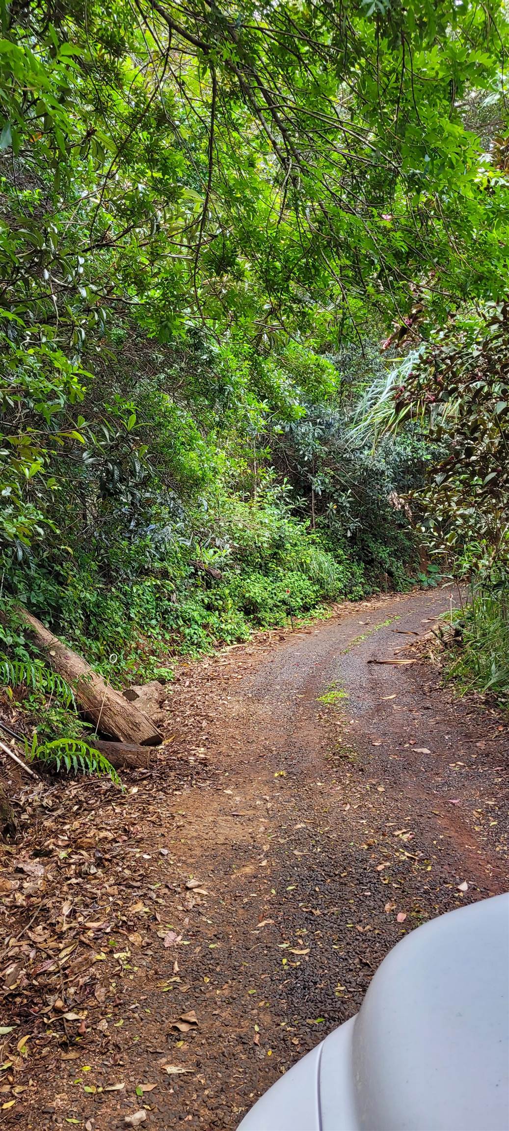 1448 Kuiaha Rd  Haiku, Hi vacant land for sale - photo 4 of 30