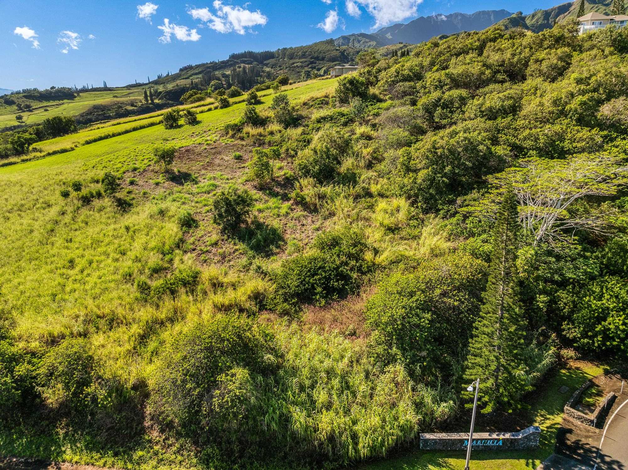 145 Kaukini Loop MCR 6 Wailuku, Hi vacant land for sale - photo 20 of 23