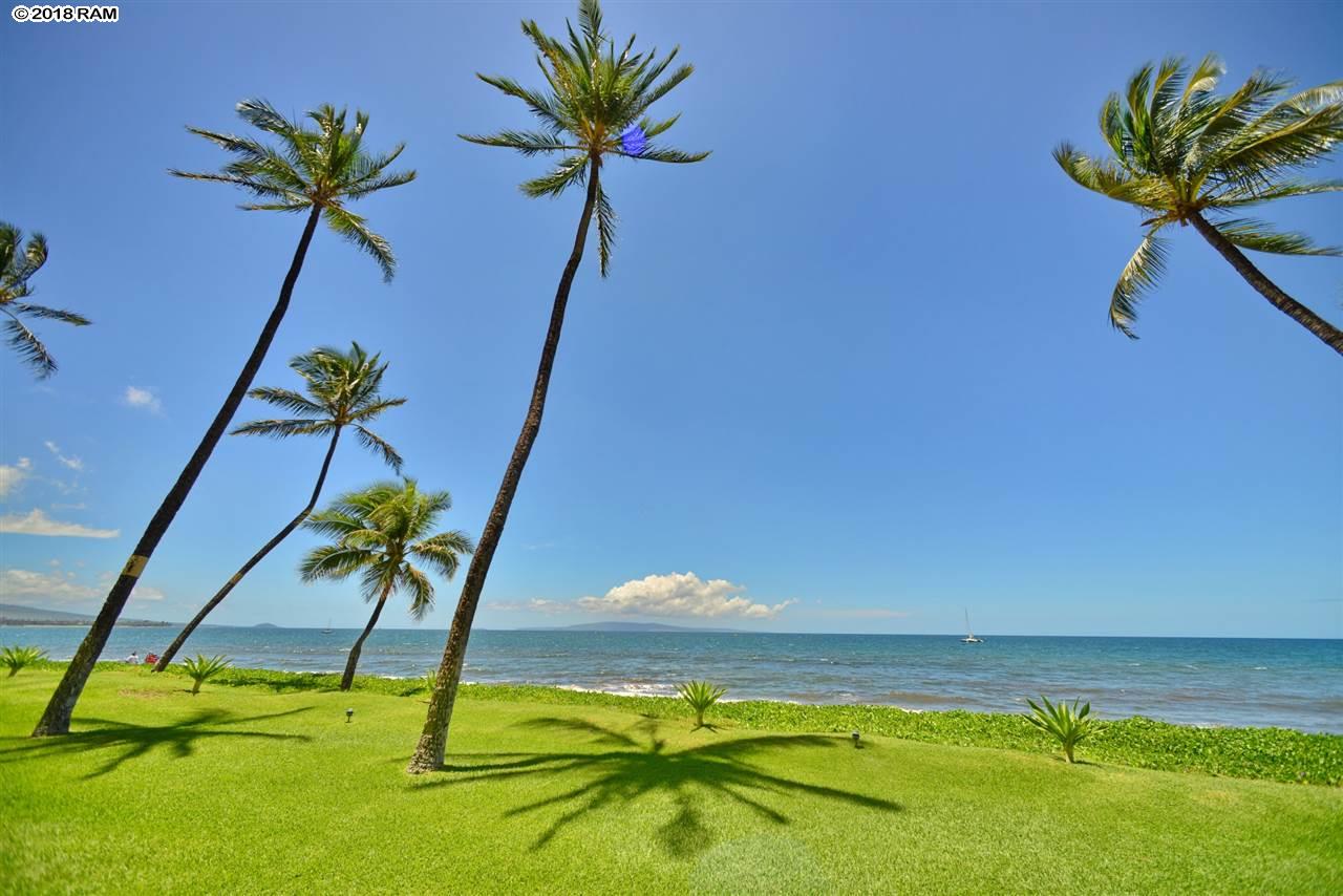 Sugar Beach Resort condo # 102, Kihei, Hawaii - photo 26 of 30
