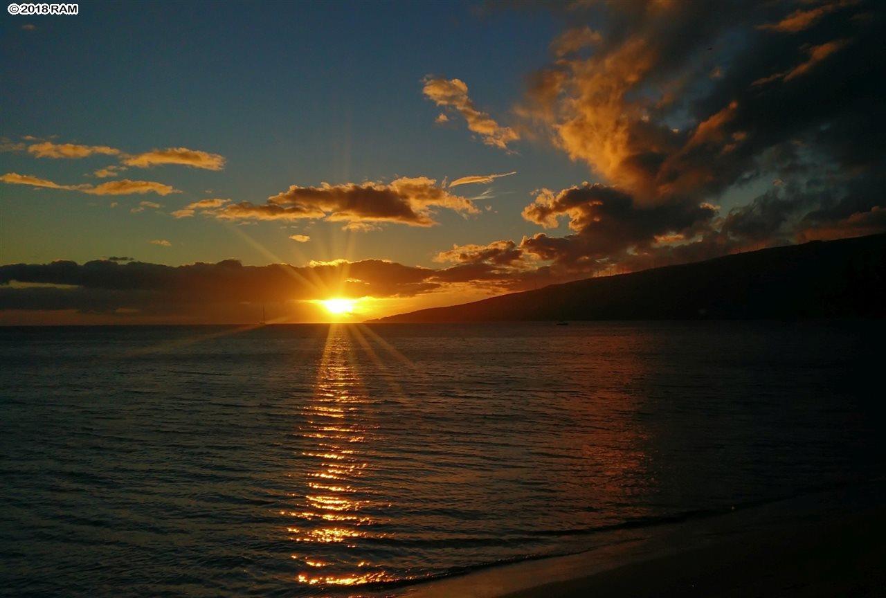 Sugar Beach Resort condo # 102, Kihei, Hawaii - photo 30 of 30
