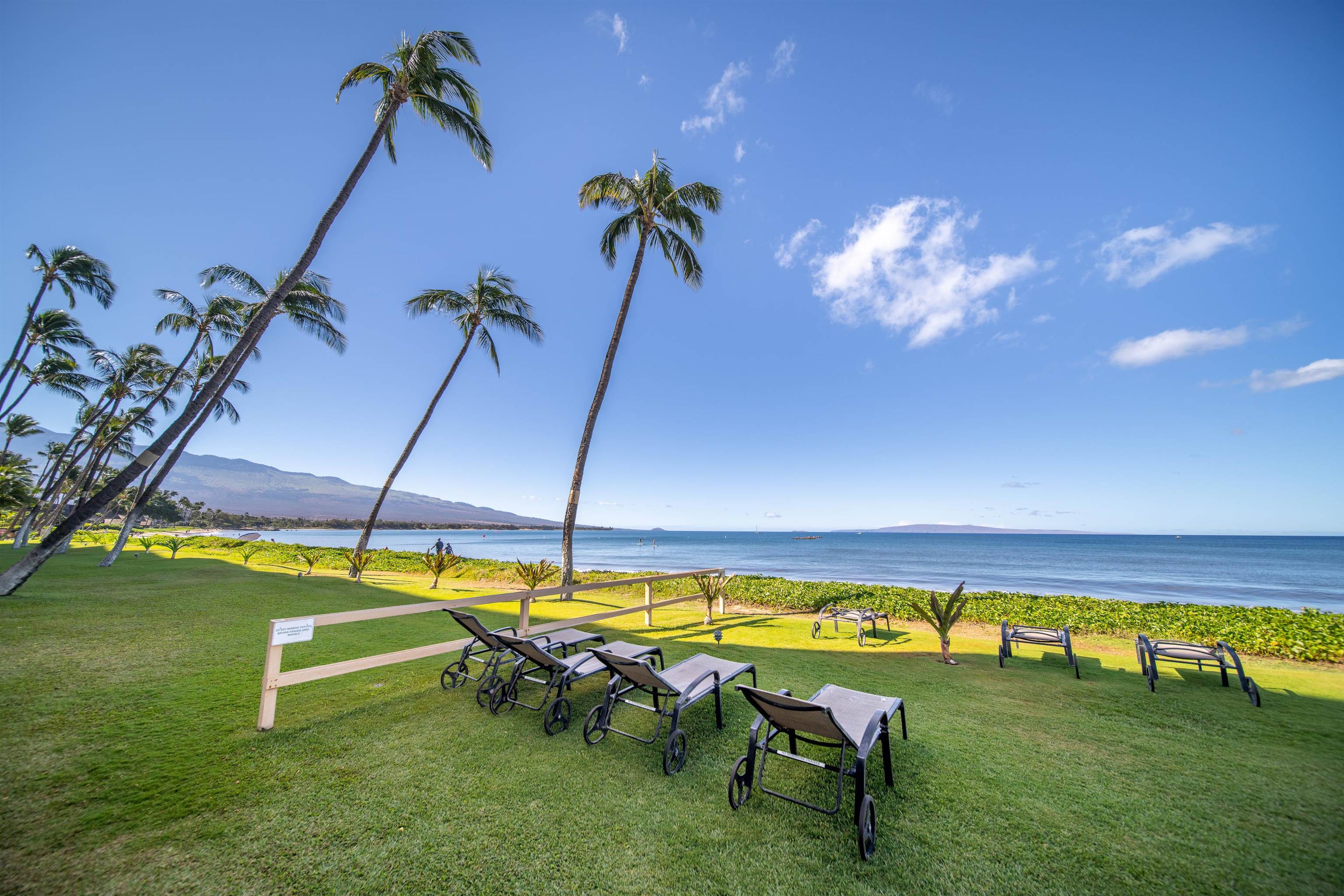 Sugar Beach Resort condo # 103, Kihei, Hawaii - photo 1 of 29