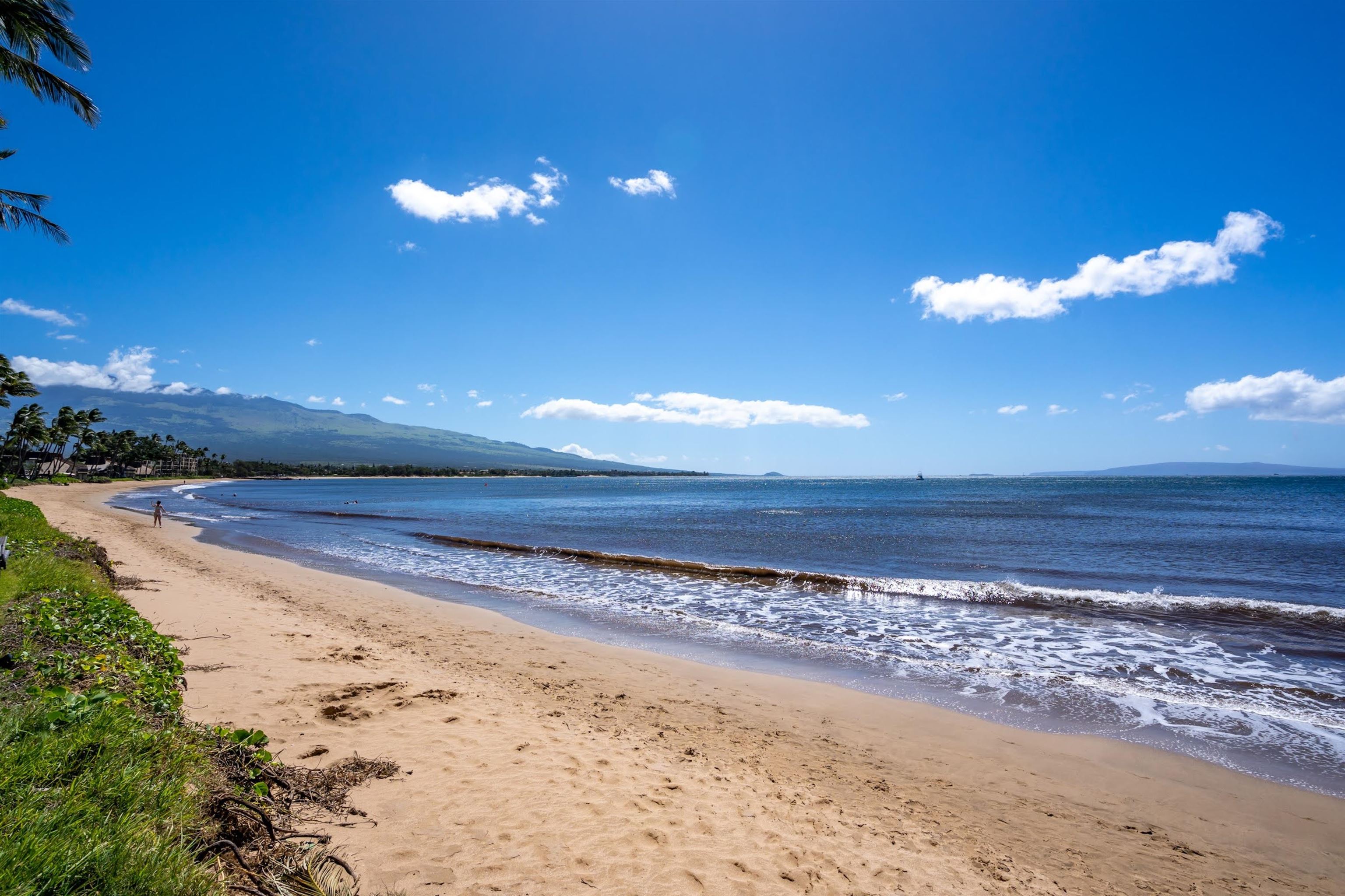 Sugar Beach Resort condo # 103, Kihei, Hawaii - photo 32 of 40