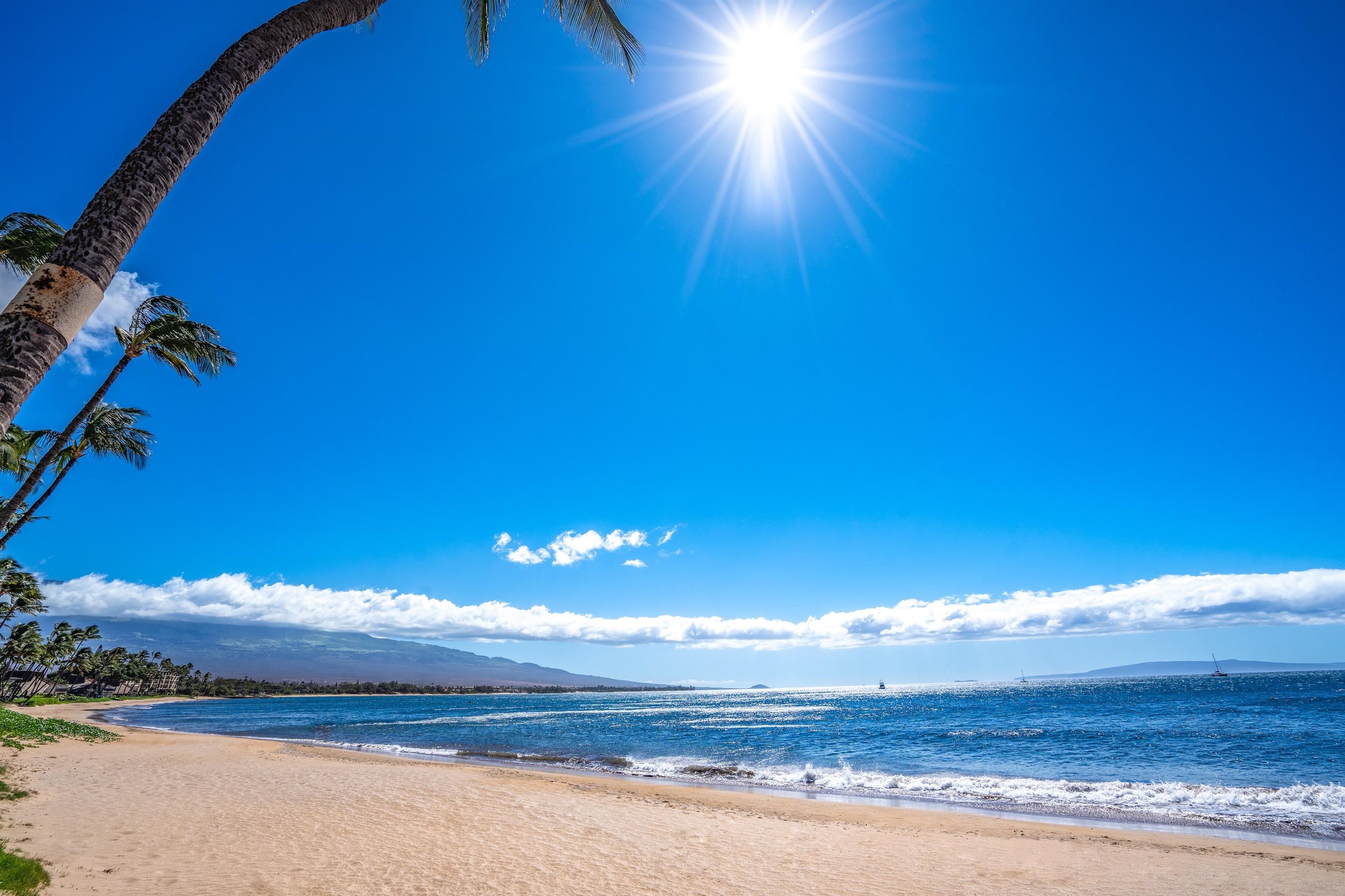 Sugar Beach Resort condo # 103, Kihei, Hawaii - photo 34 of 40