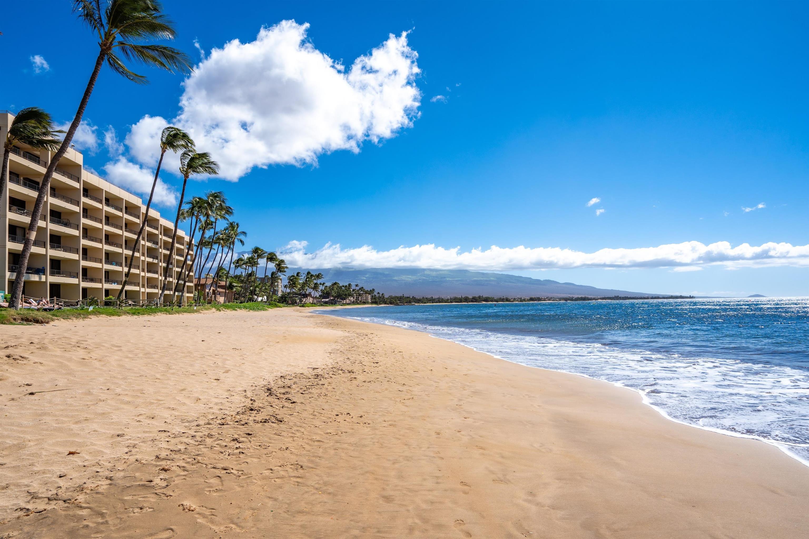 Sugar Beach Resort condo # 103, Kihei, Hawaii - photo 35 of 40