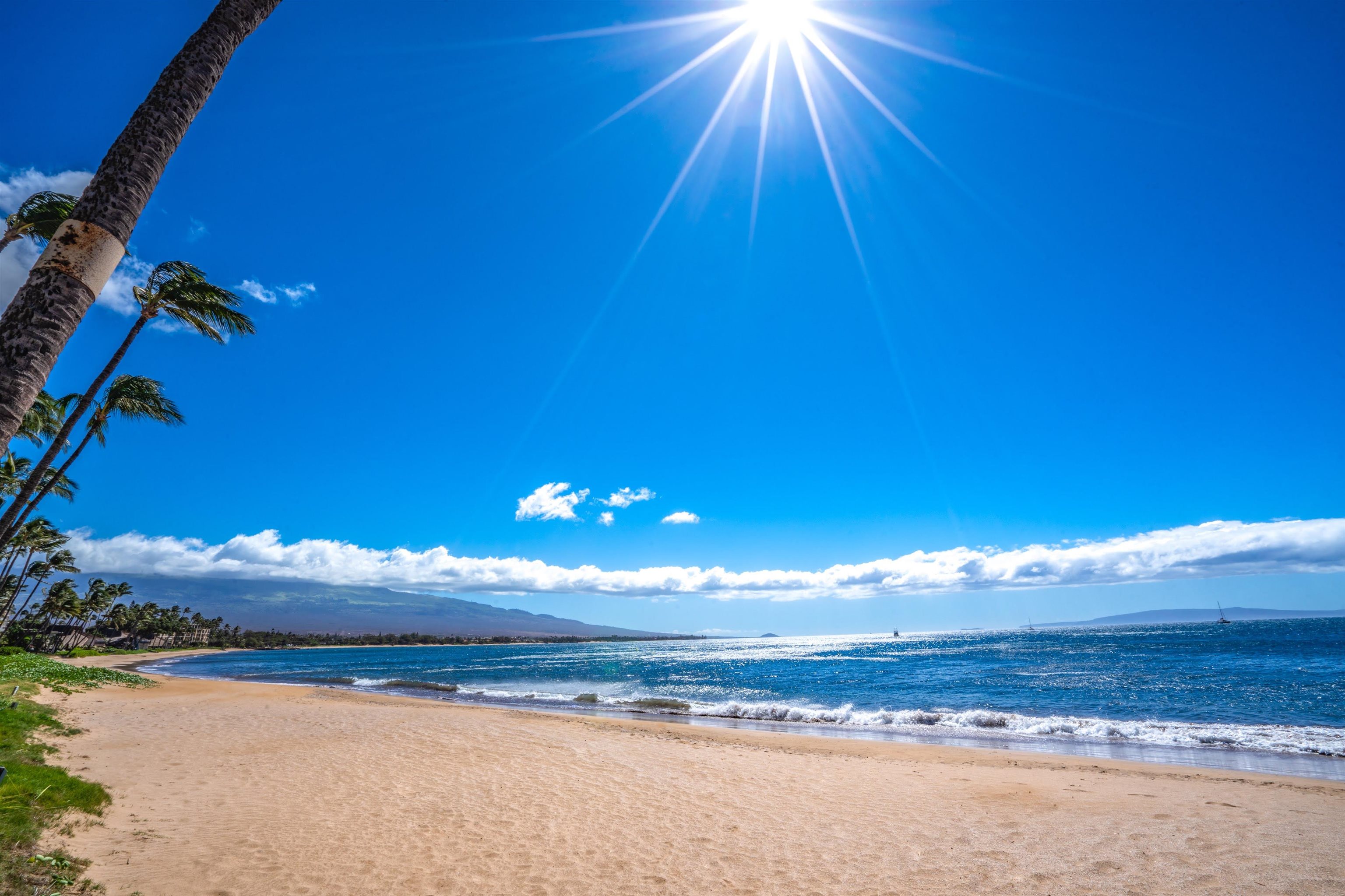 Sugar Beach Resort condo # 103, Kihei, Hawaii - photo 43 of 49