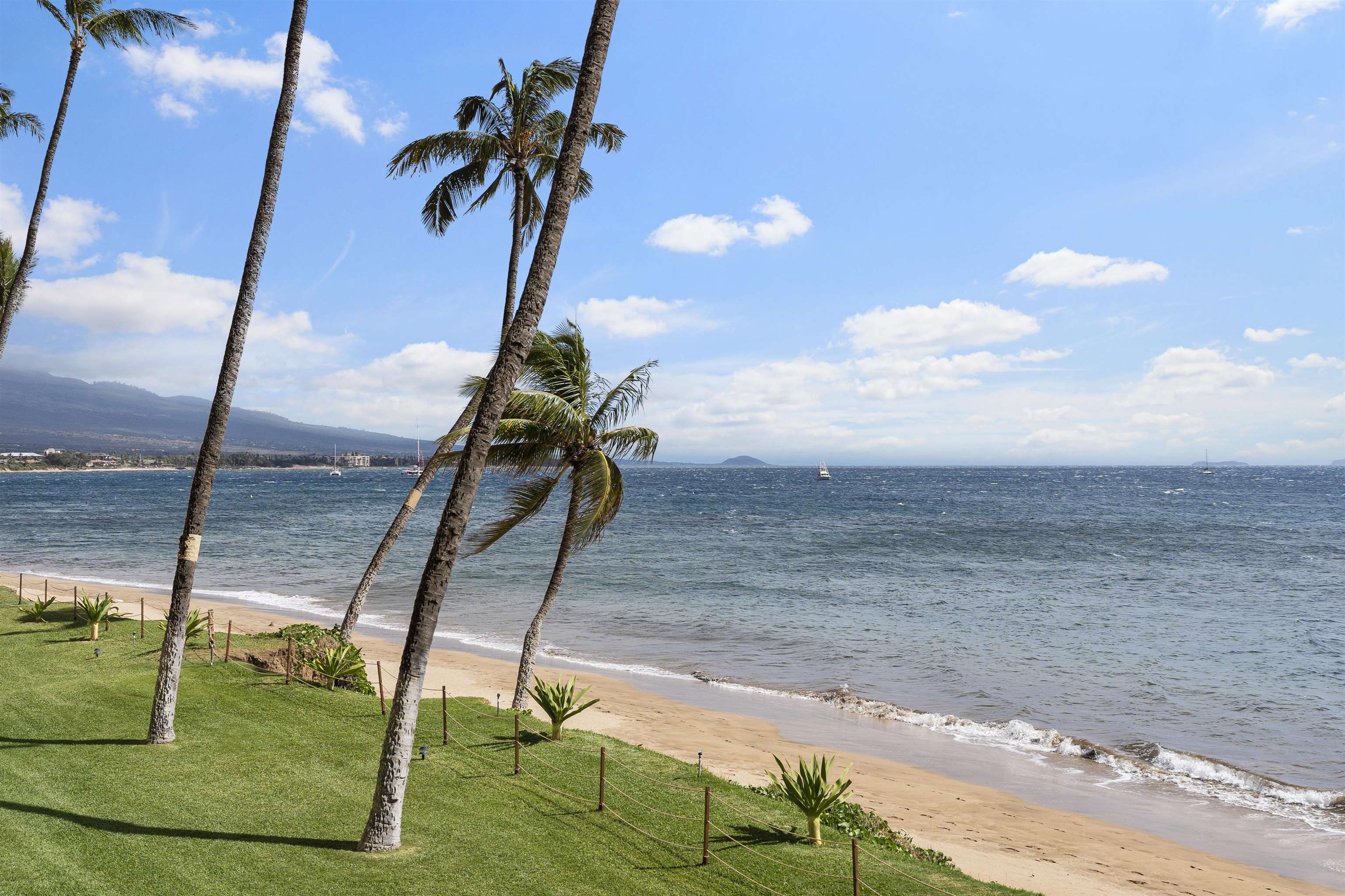 Sugar Beach Resort condo # 103, Kihei, Hawaii - photo 49 of 49