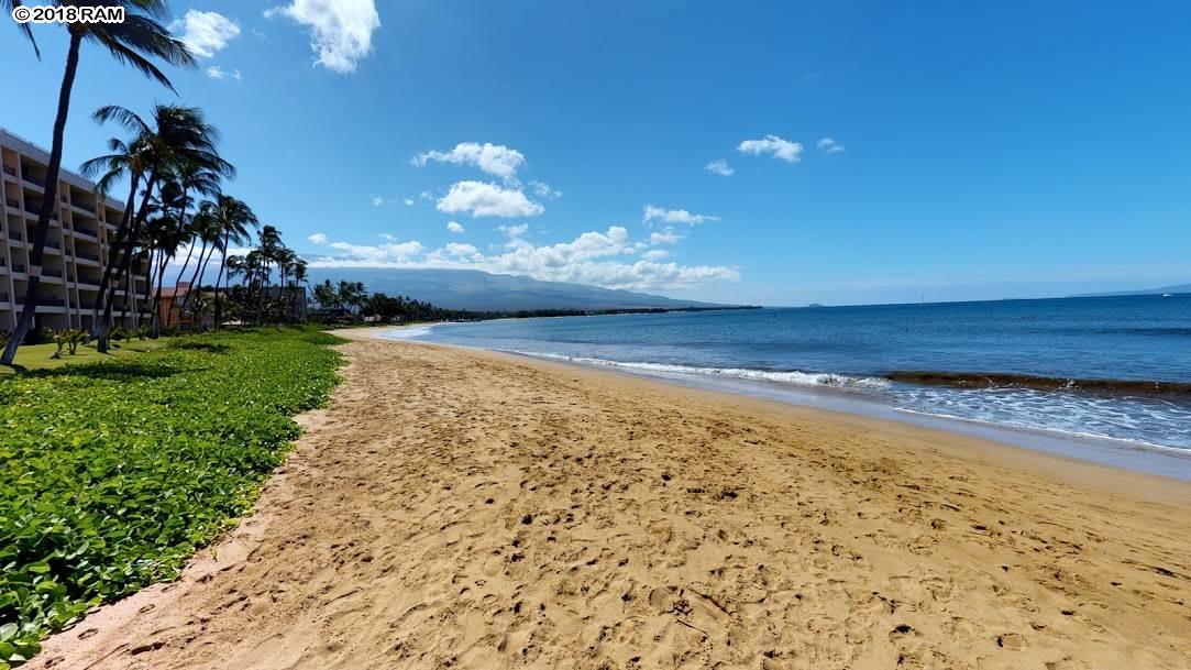 Sugar Beach Resort condo # 111, Kihei, Hawaii - photo 2 of 22