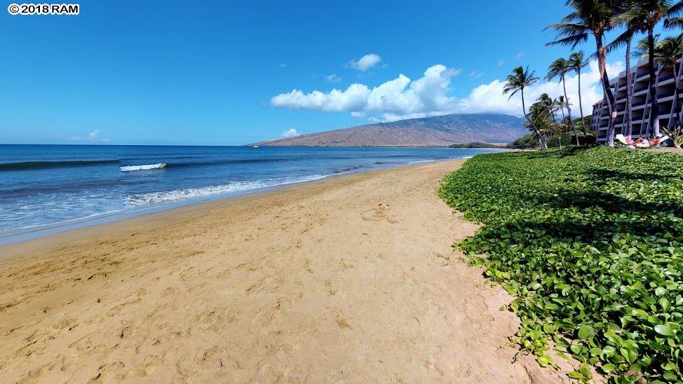 Sugar Beach Resort condo # 111, Kihei, Hawaii - photo 19 of 22