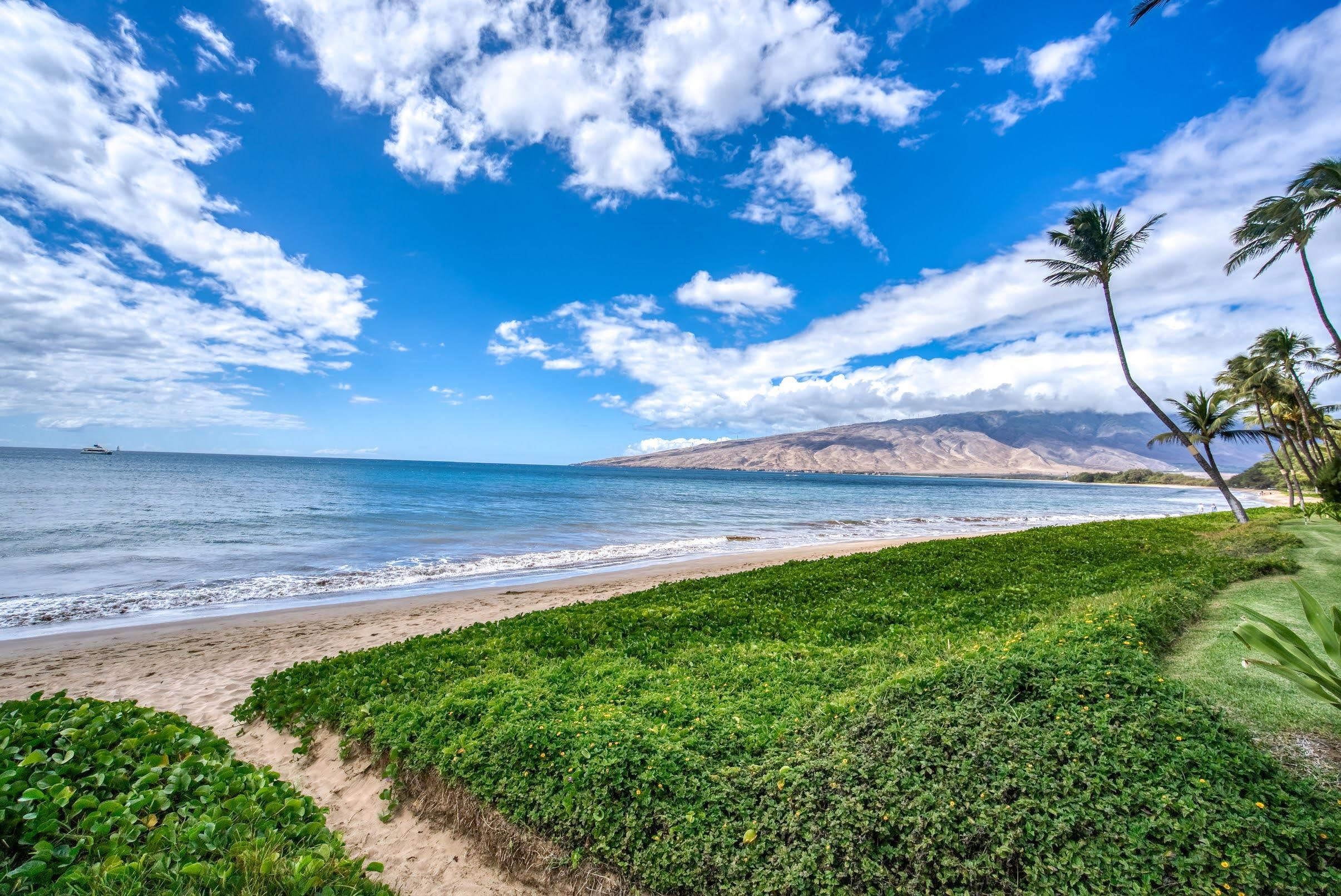 Sugar Beach Resort condo # 115, Kihei, Hawaii - photo 2 of 50