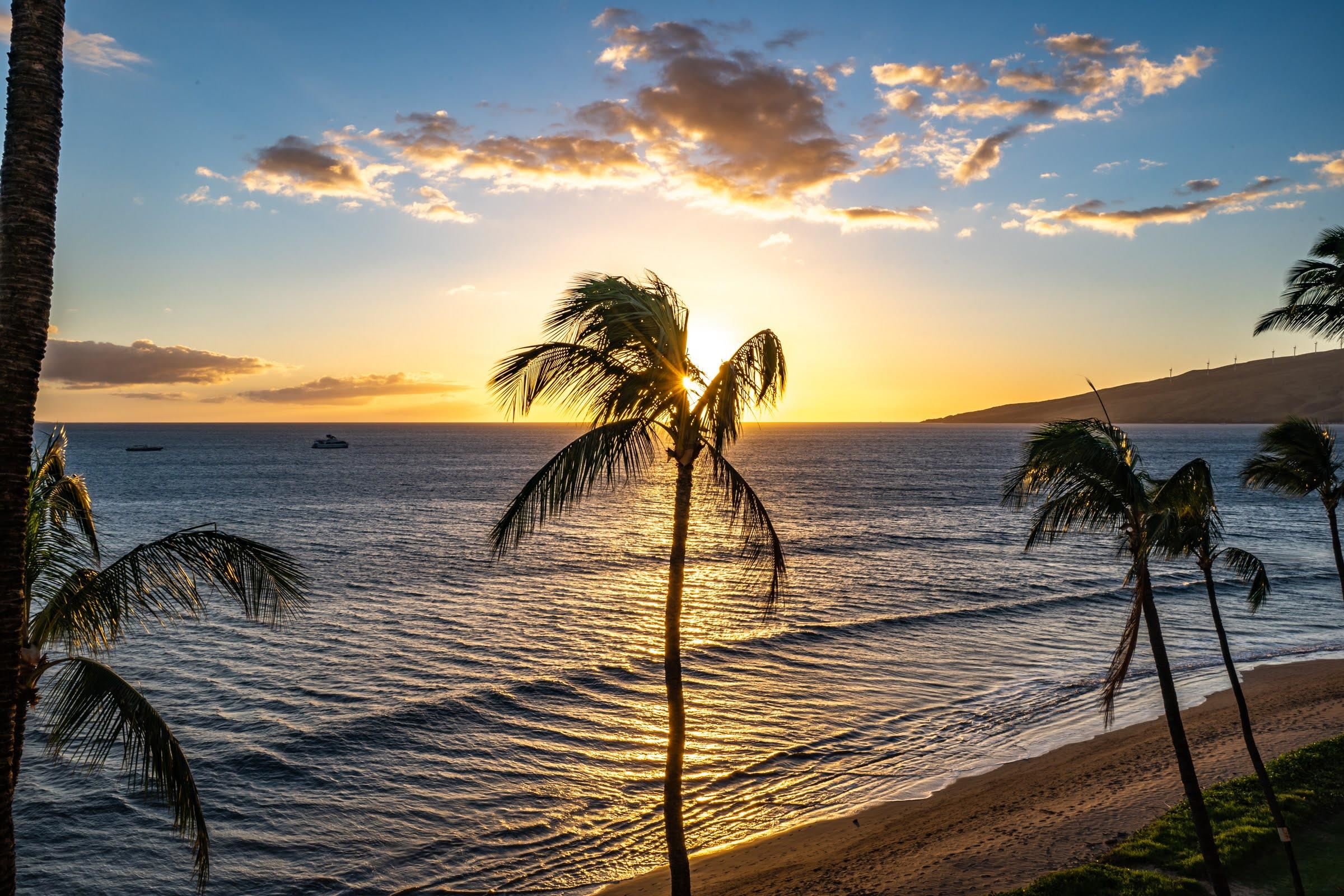Sugar Beach Resort condo # 115, Kihei, Hawaii - photo 4 of 50