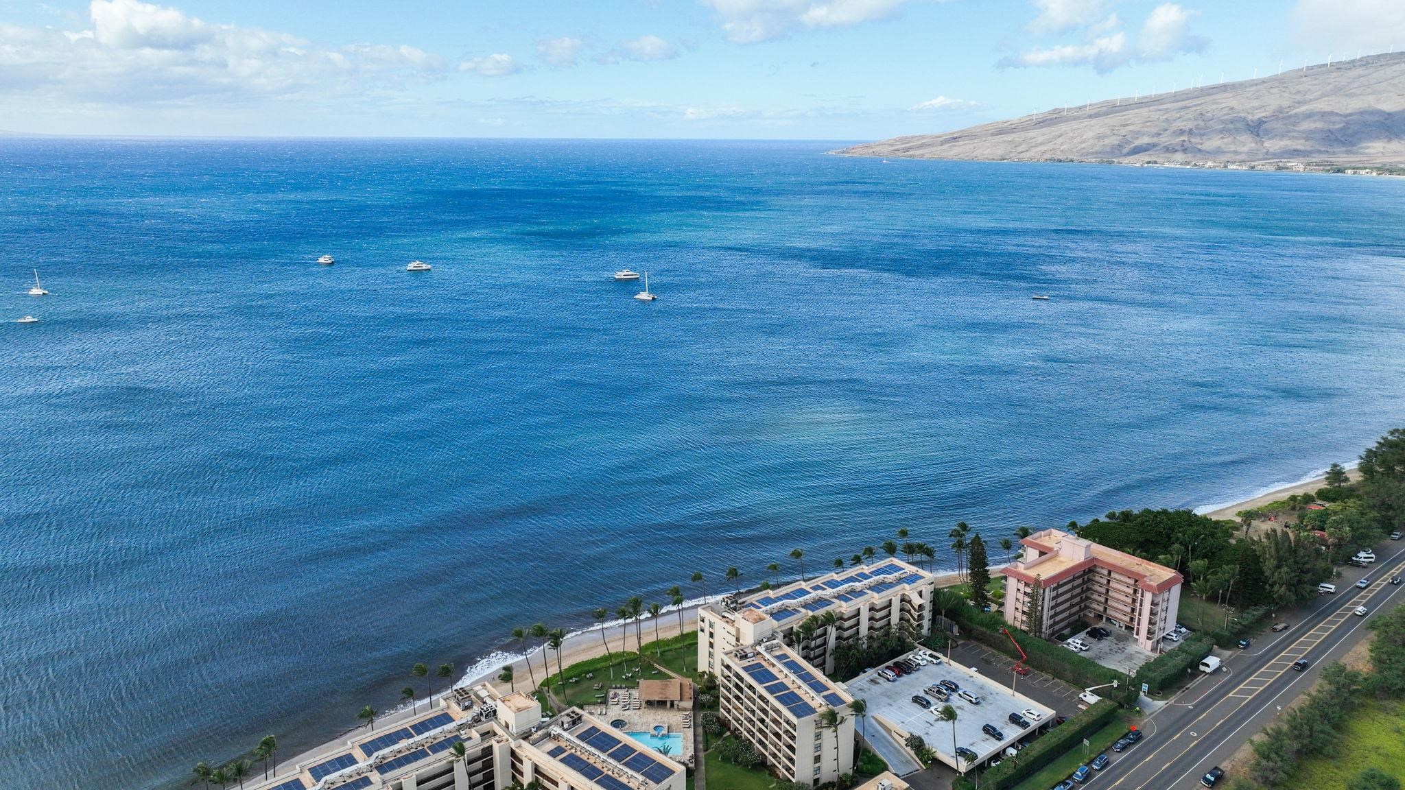 Sugar Beach Resort condo # 115, Kihei, Hawaii - photo 31 of 50