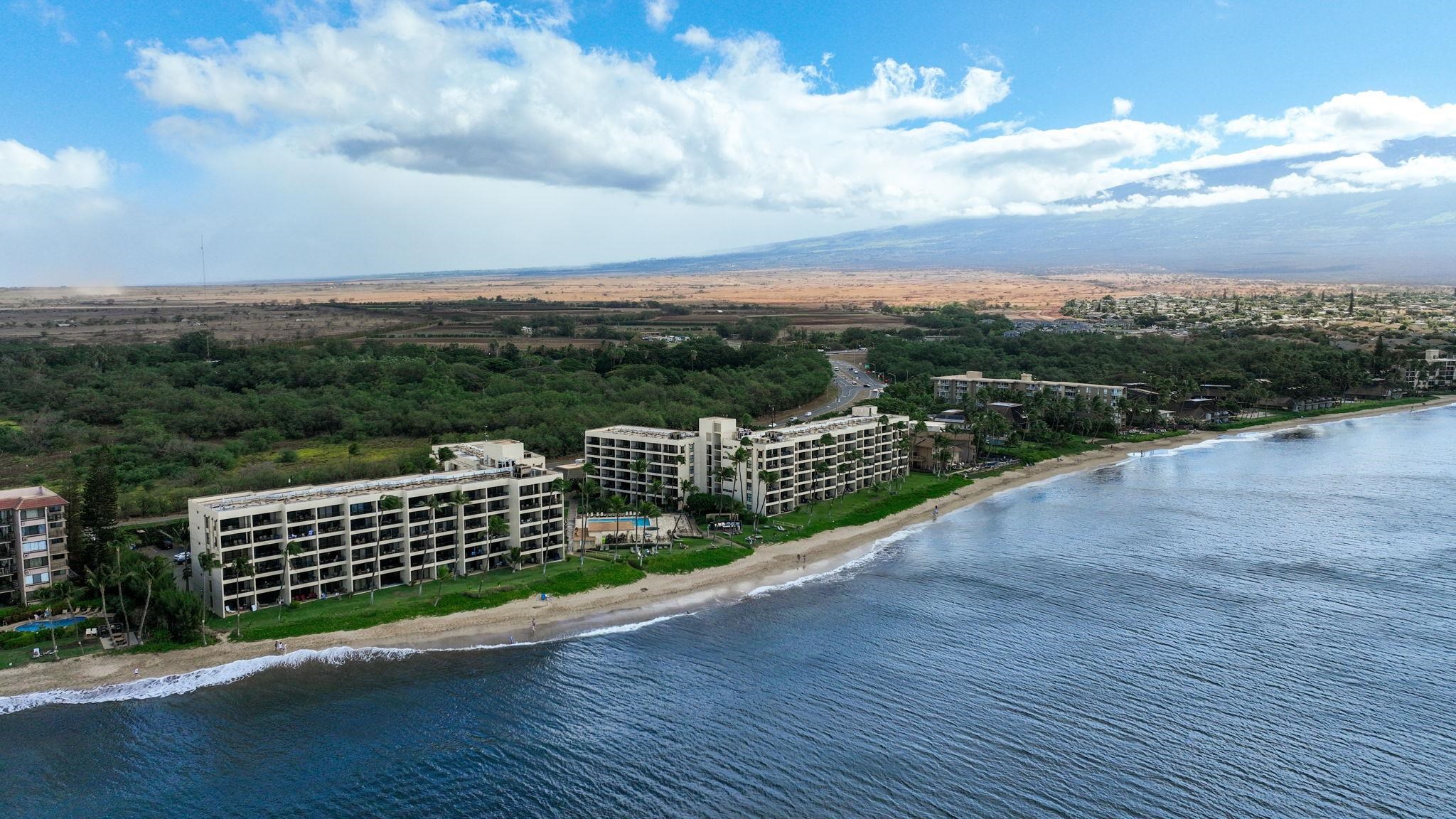 Sugar Beach Resort condo # 115, Kihei, Hawaii - photo 35 of 50