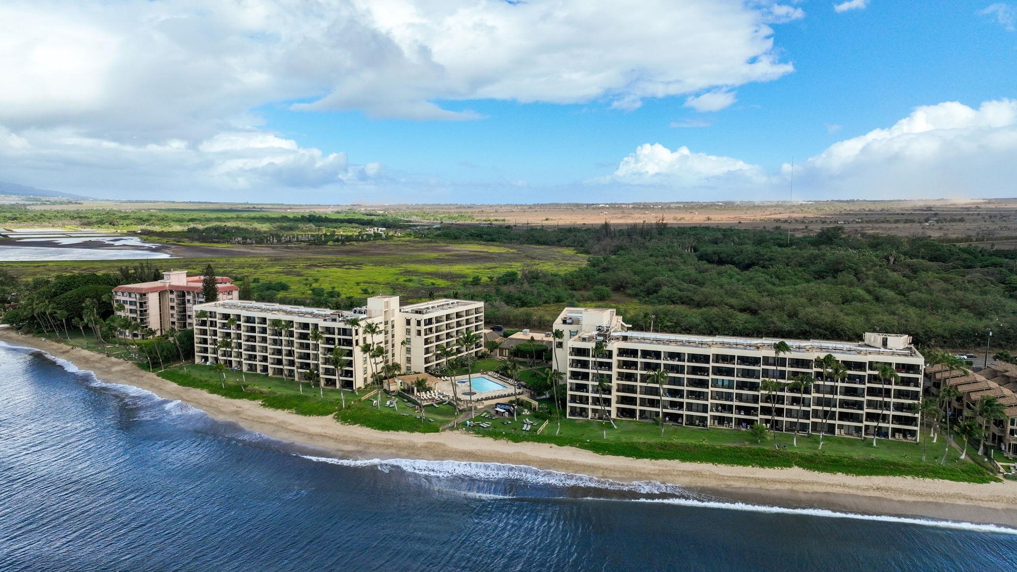 Sugar Beach Resort condo # 115, Kihei, Hawaii - photo 37 of 50