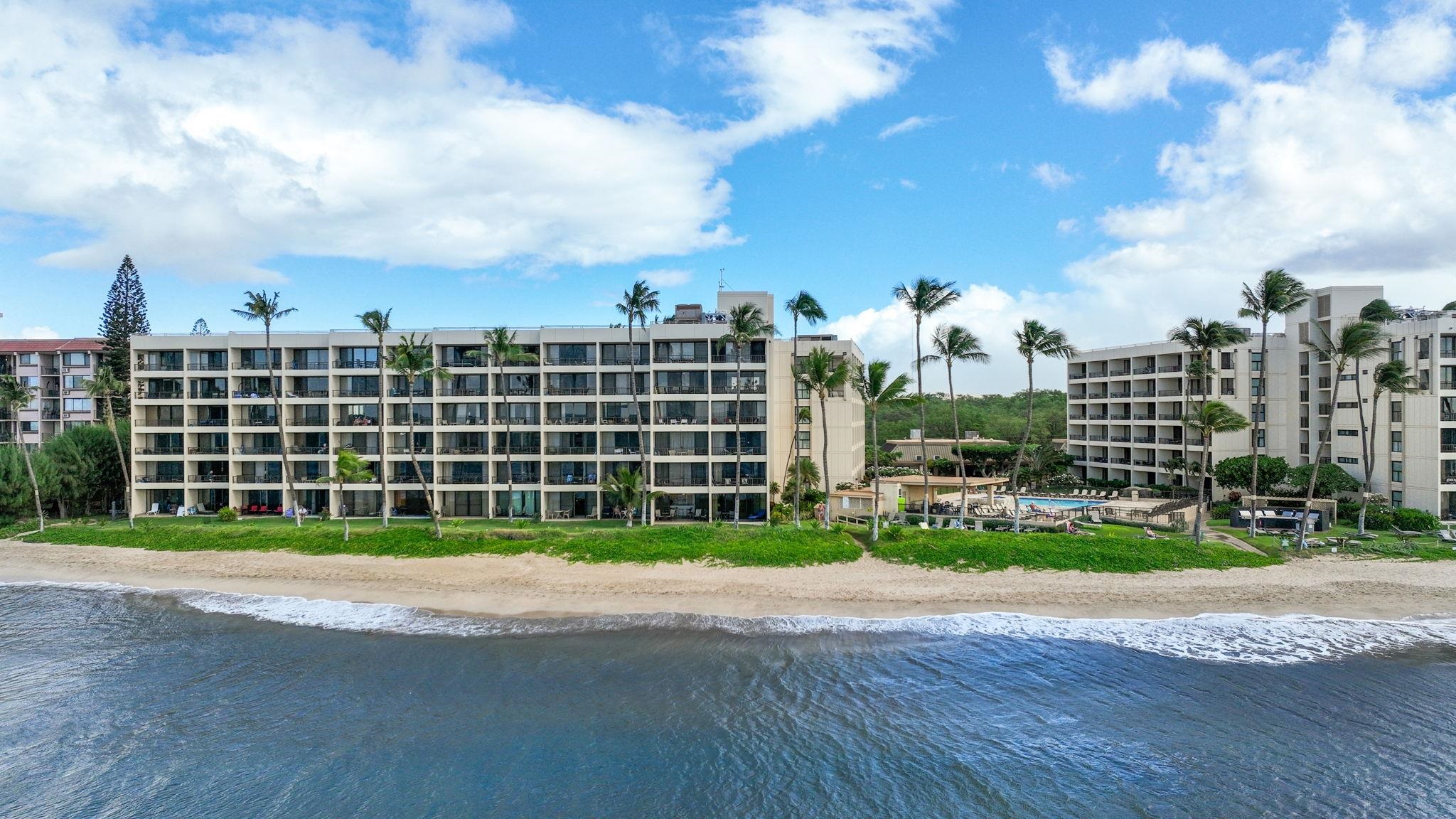 Sugar Beach Resort condo # 115, Kihei, Hawaii - photo 39 of 50