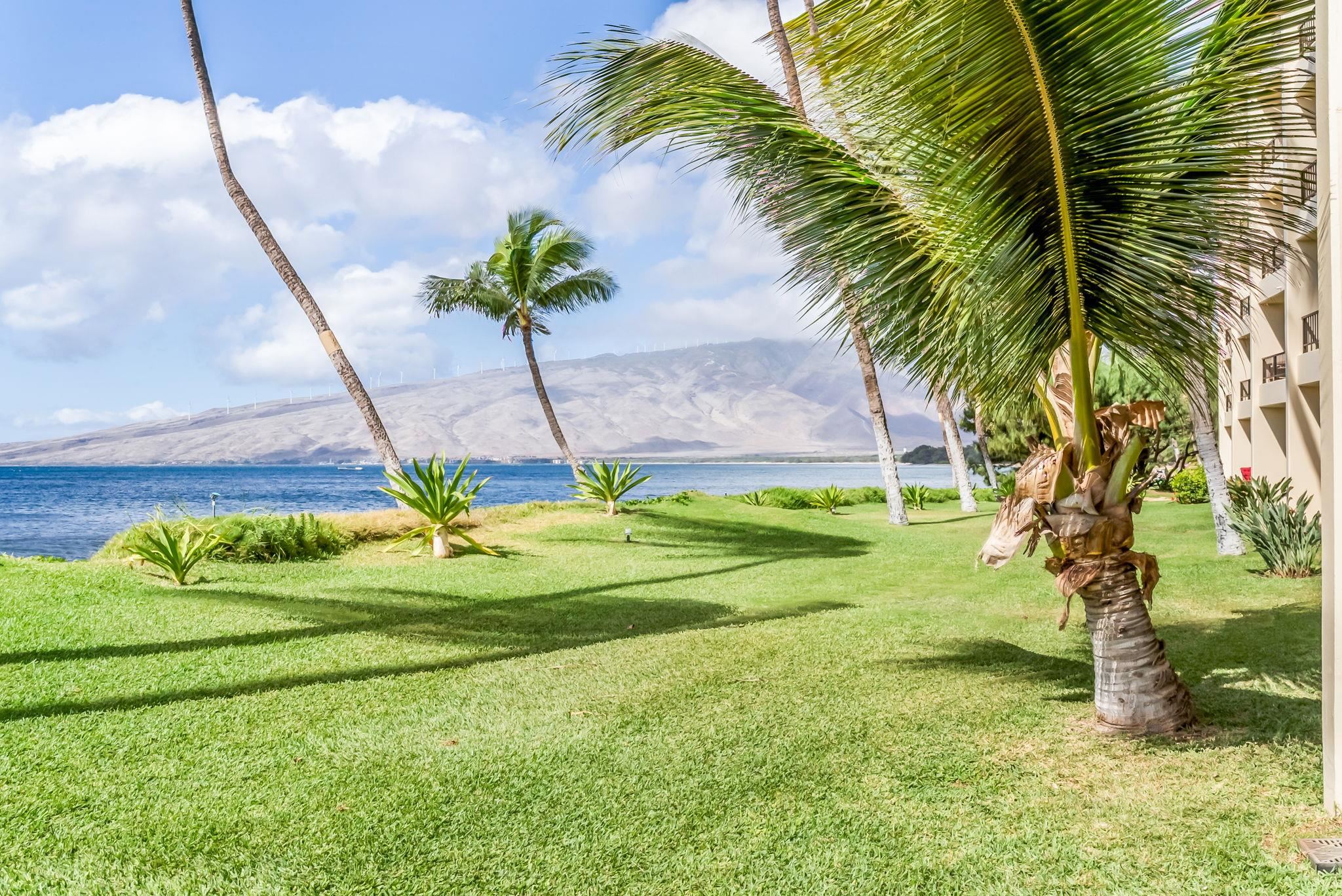 Sugar Beach Resort condo # 115, Kihei, Hawaii - photo 41 of 50