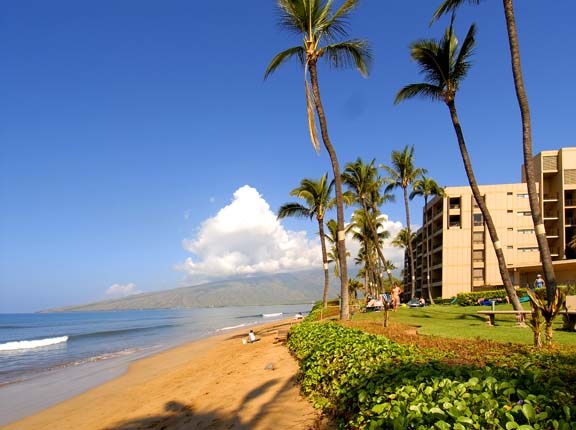 Sugar Beach Resort condo # 122, Kihei, Hawaii - photo 19 of 22