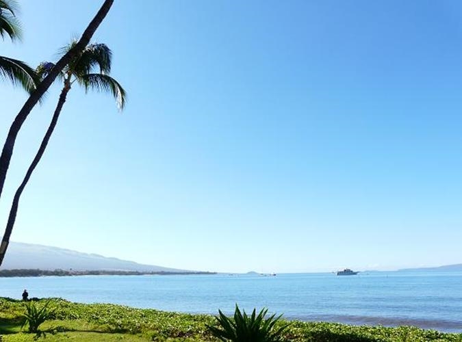 Sugar Beach Resort condo # 122, Kihei, Hawaii - photo 7 of 22