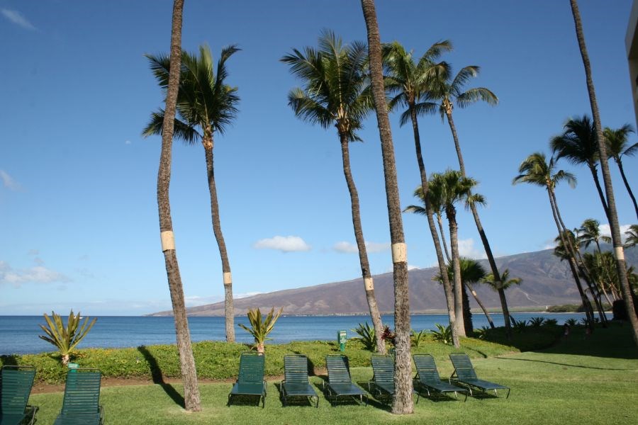 Sugar Beach Resort condo # 136, Kihei, Hawaii - photo 17 of 17