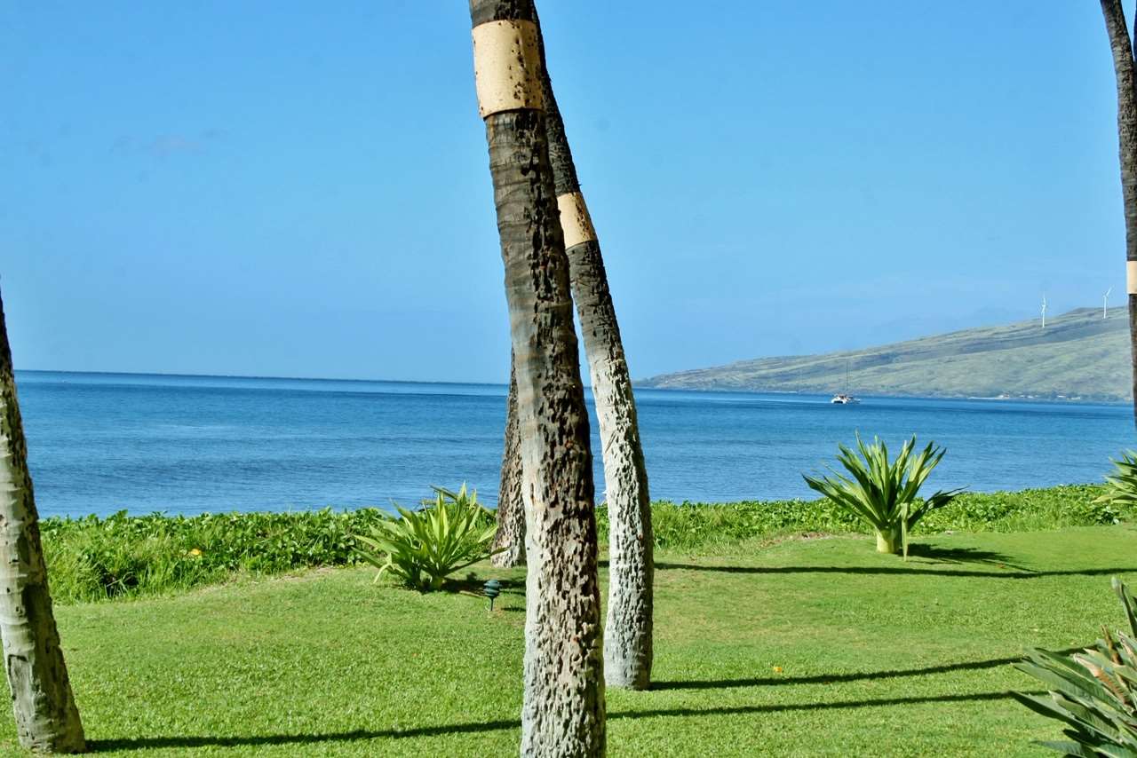 Sugar Beach Resort condo # 136, Kihei, Hawaii - photo 3 of 17