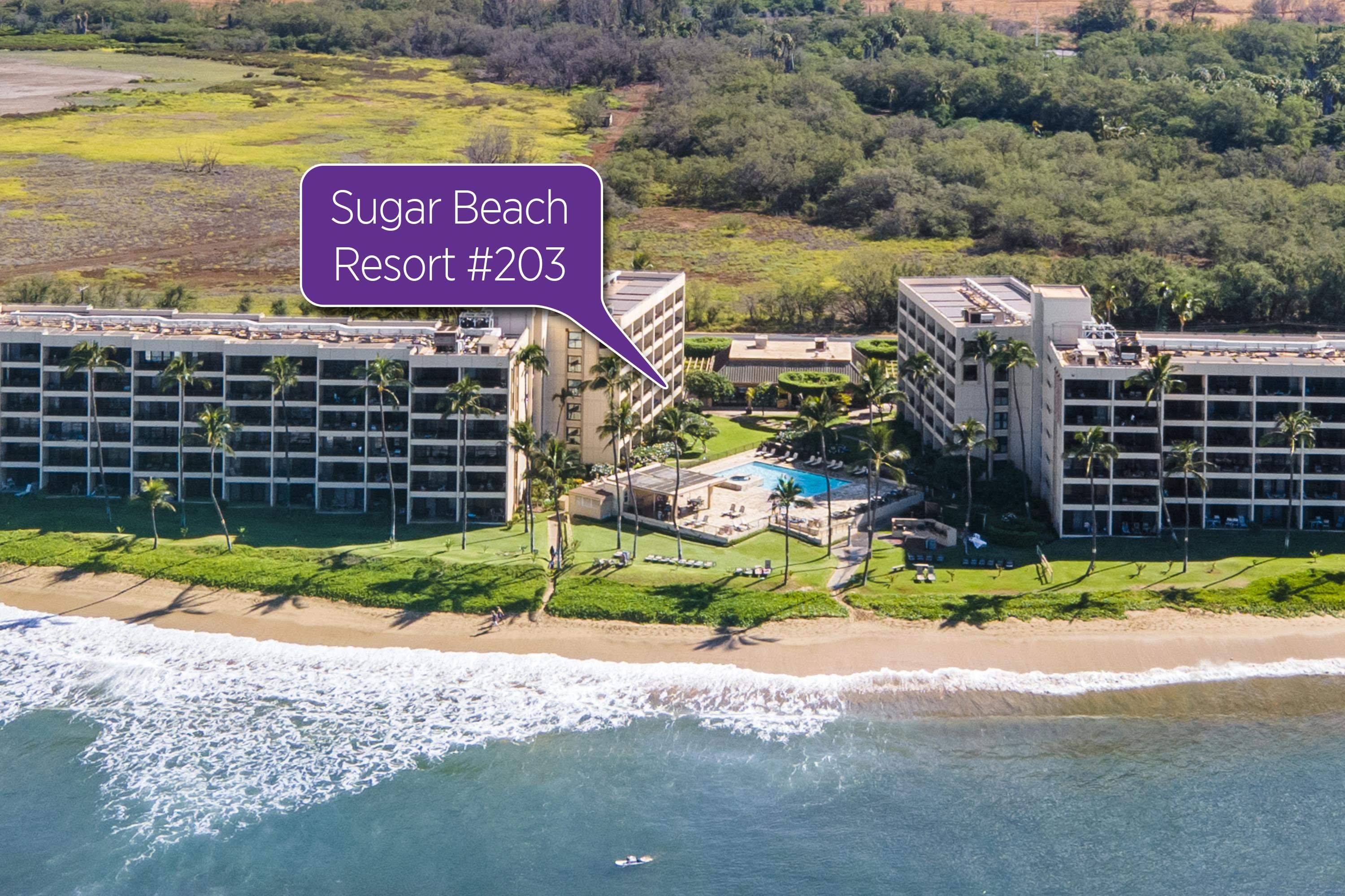 Sugar Beach Resort condo # 203, Kihei, Hawaii - photo 2 of 28