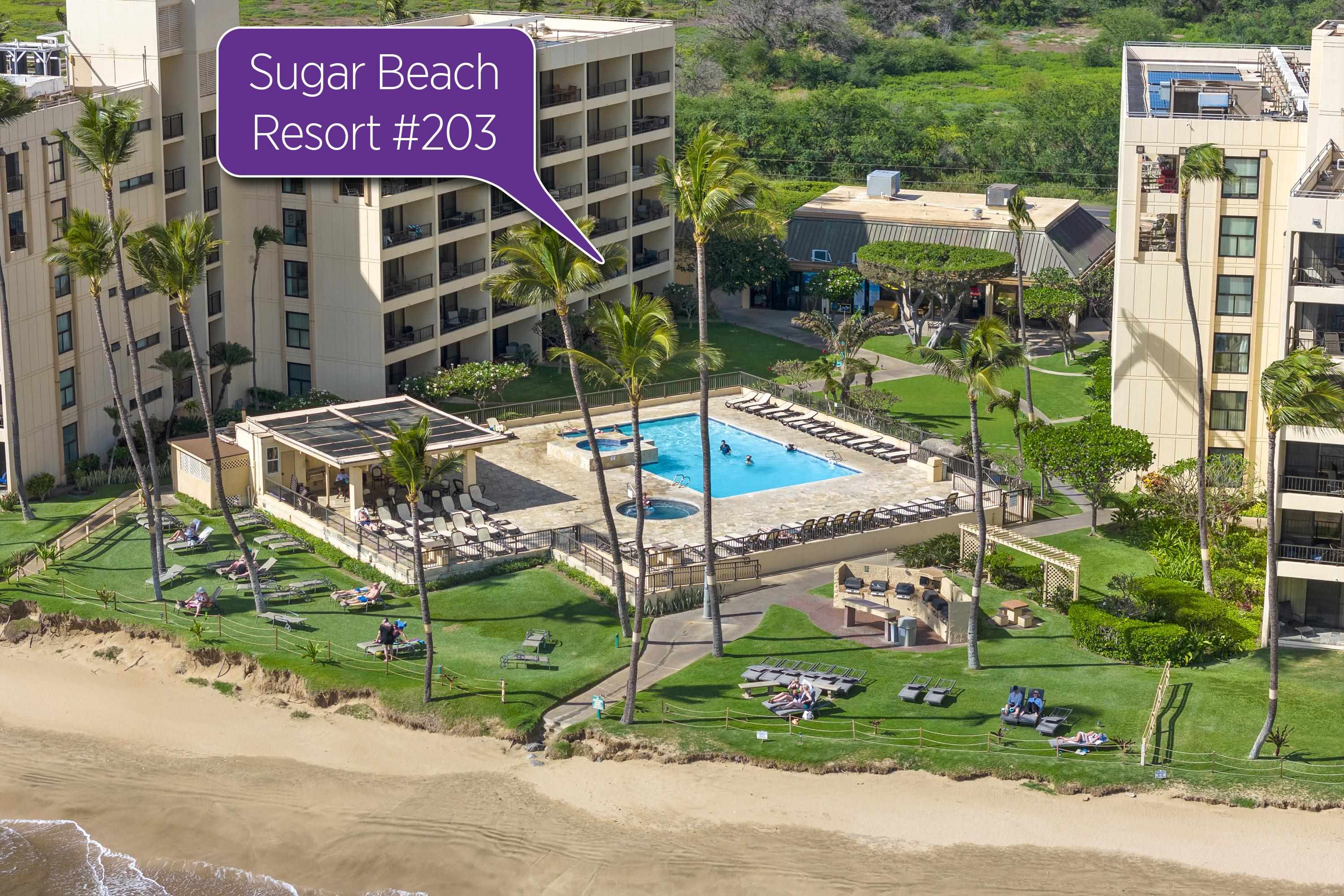 Sugar Beach Resort condo # 203, Kihei, Hawaii - photo 15 of 28