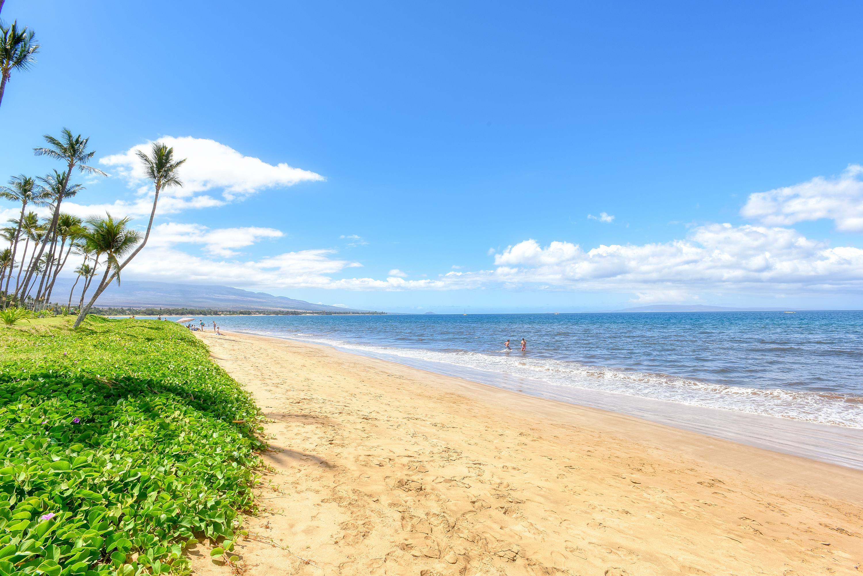 Sugar Beach Resort condo # 203, Kihei, Hawaii - photo 23 of 28
