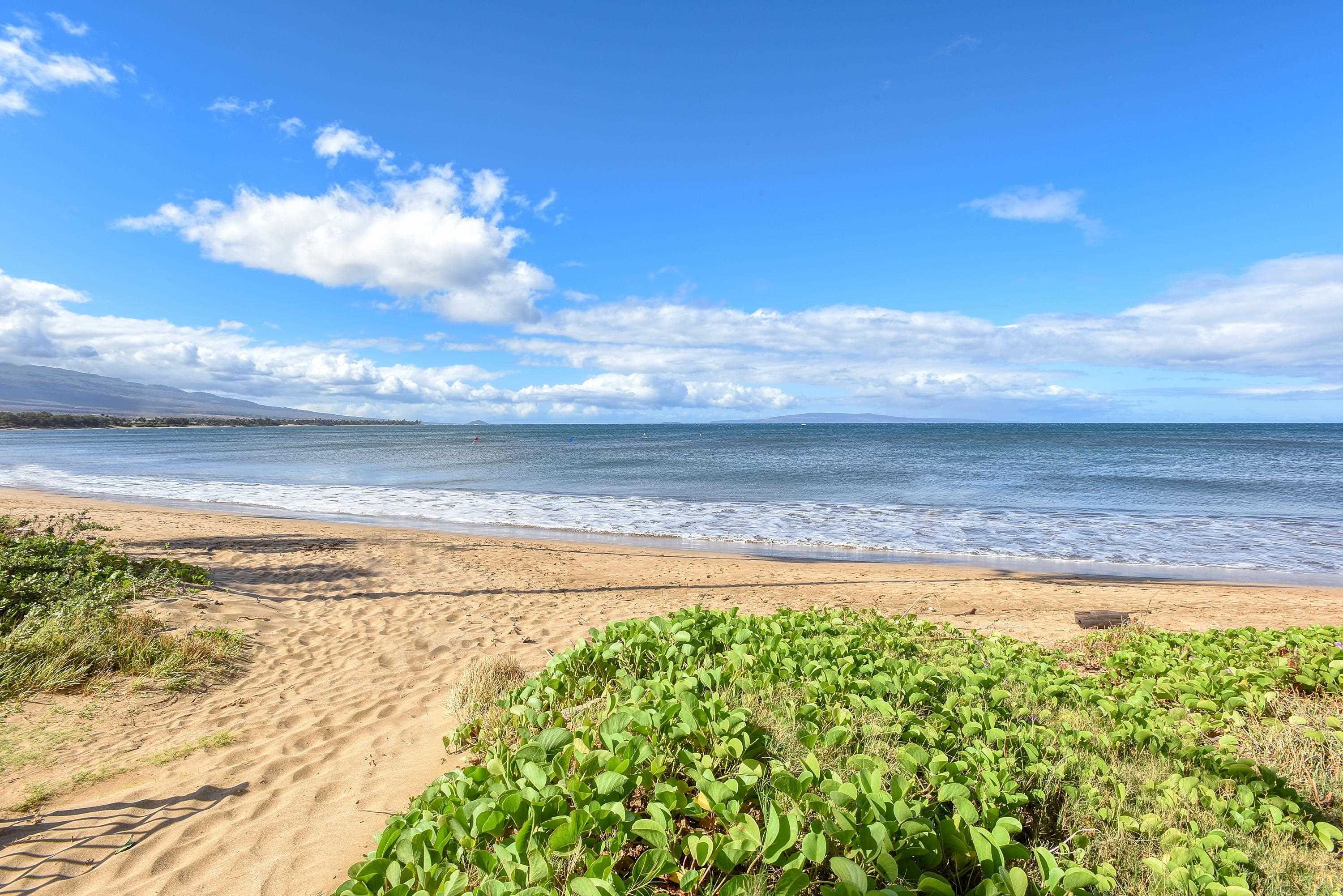 Sugar Beach Resort condo # 203, Kihei, Hawaii - photo 25 of 28