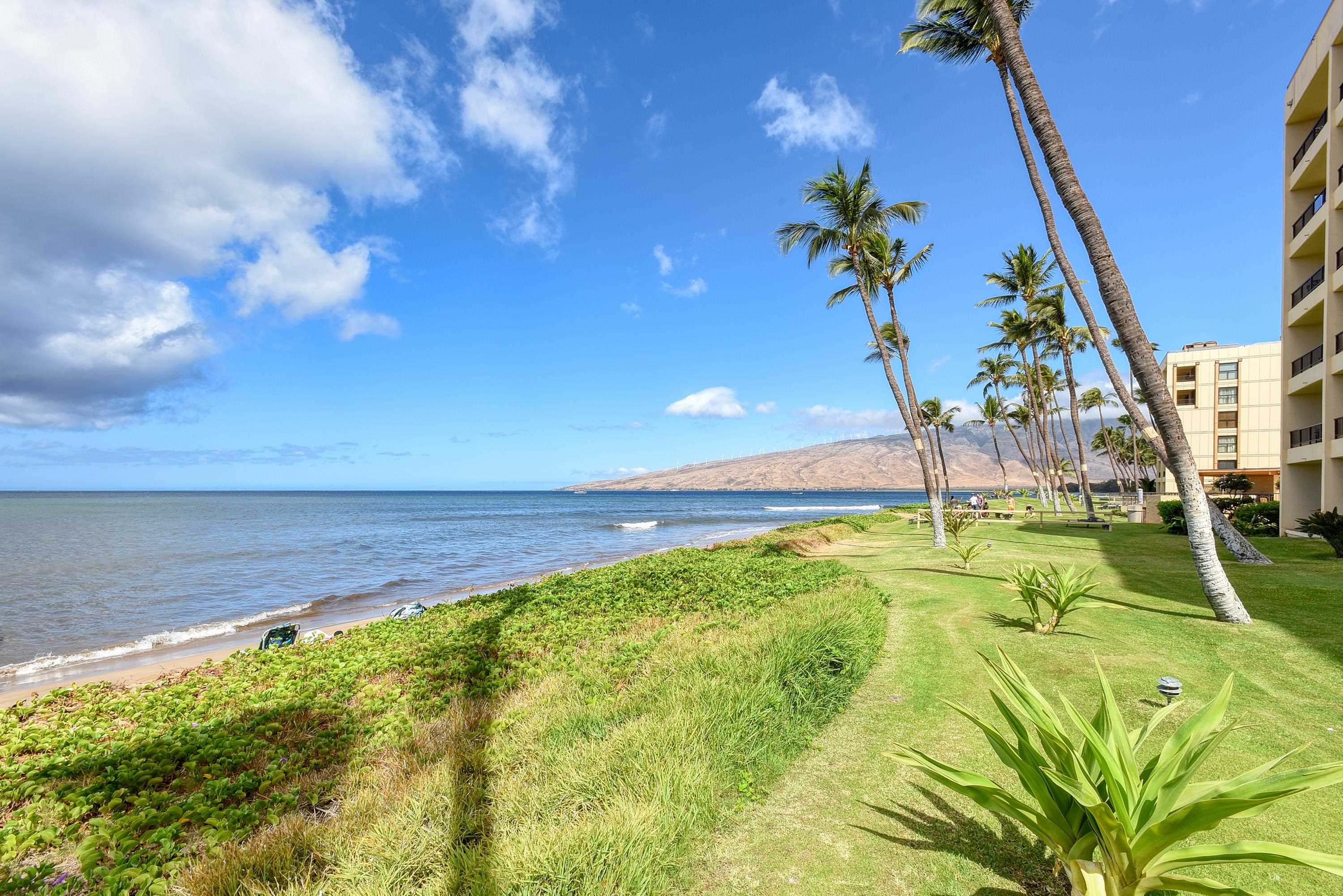 Sugar Beach Resort condo # 203, Kihei, Hawaii - photo 27 of 28