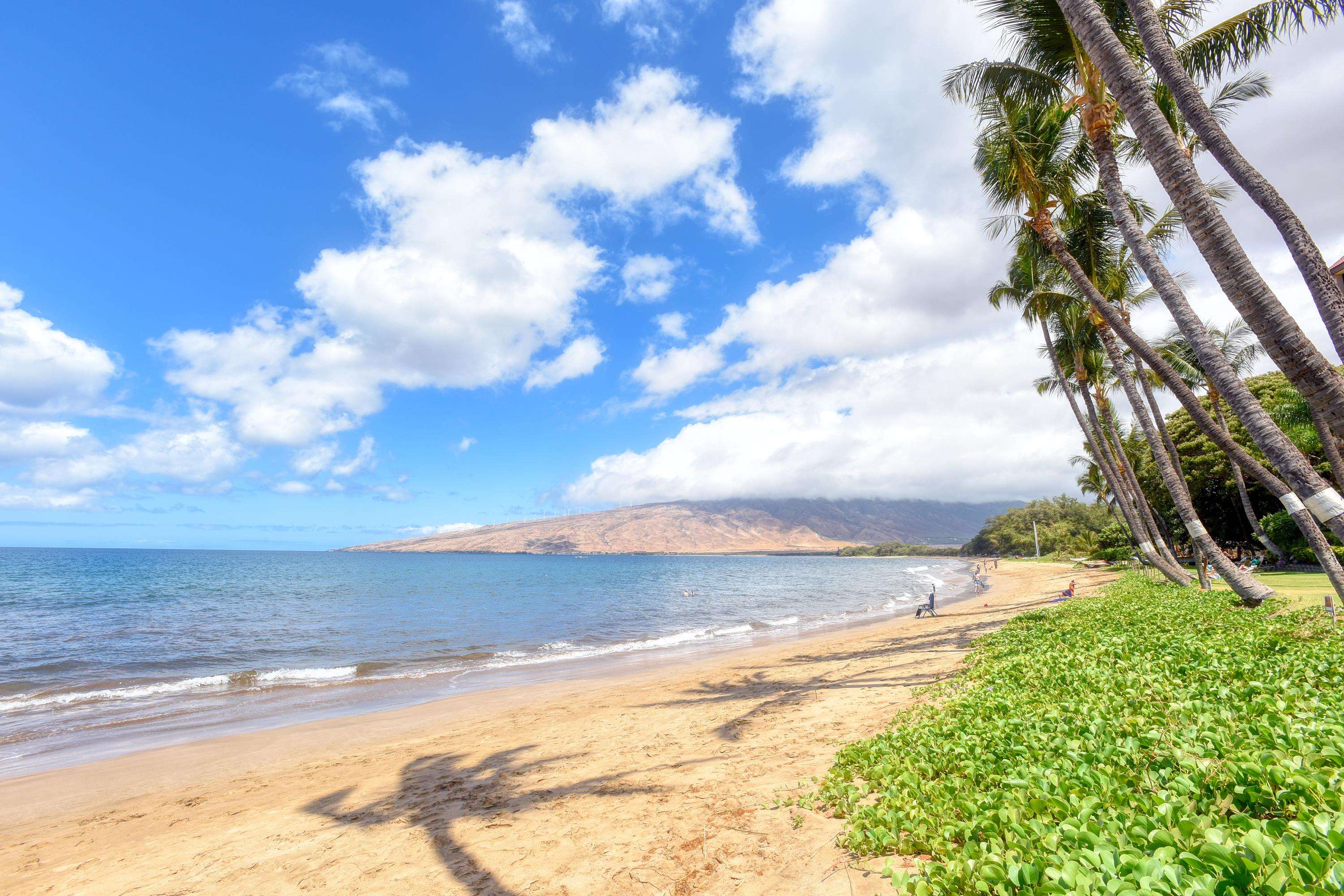 Sugar Beach Resort condo # 203, Kihei, Hawaii - photo 5 of 28