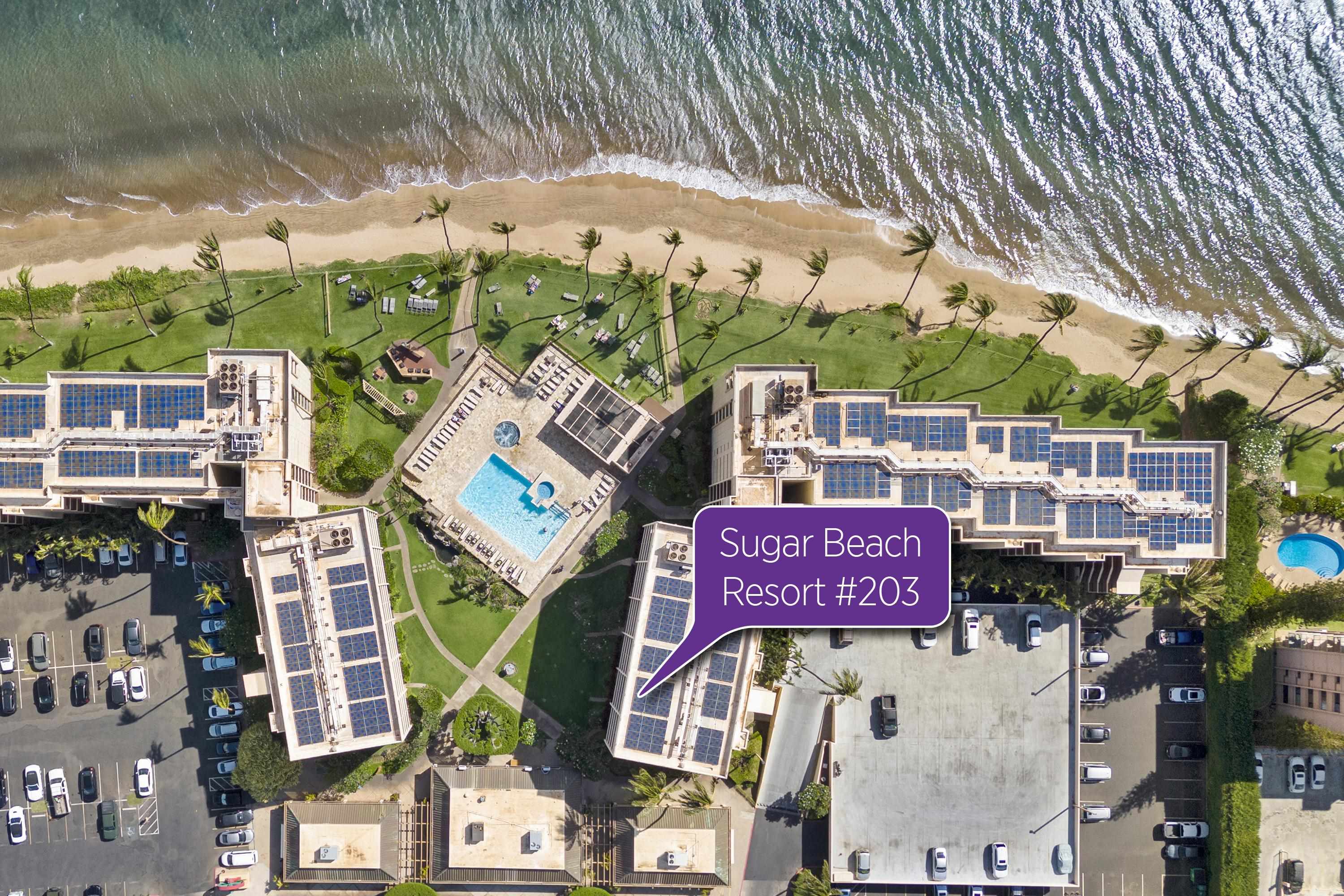 Sugar Beach Resort condo # 203, Kihei, Hawaii - photo 10 of 28