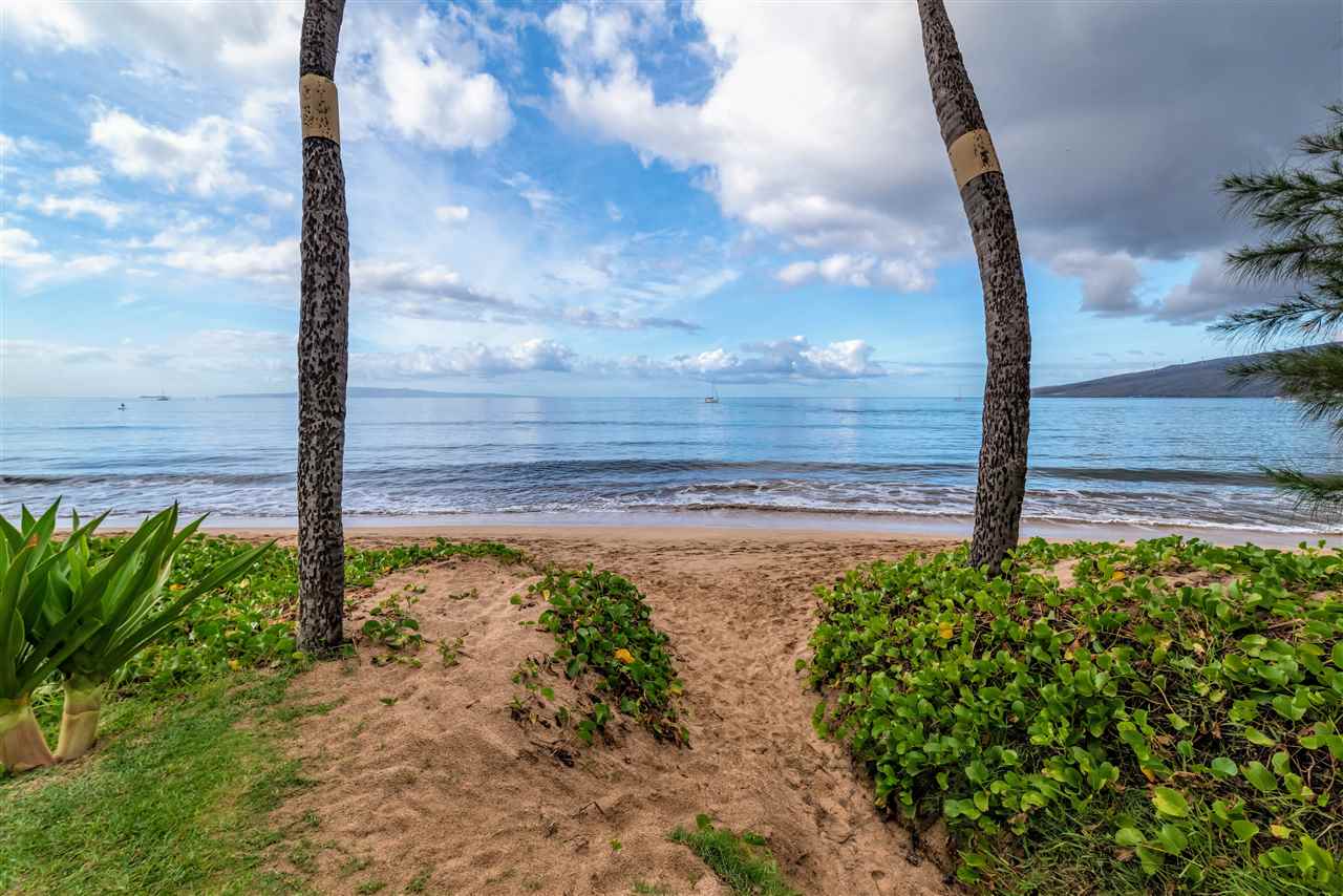 Sugar Beach Resort condo # 206, Kihei, Hawaii - photo 17 of 27