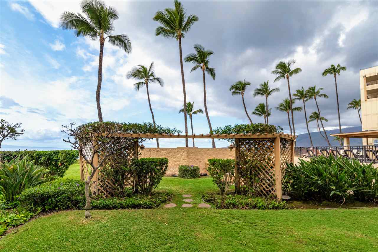 Sugar Beach Resort condo # 206, Kihei, Hawaii - photo 20 of 27