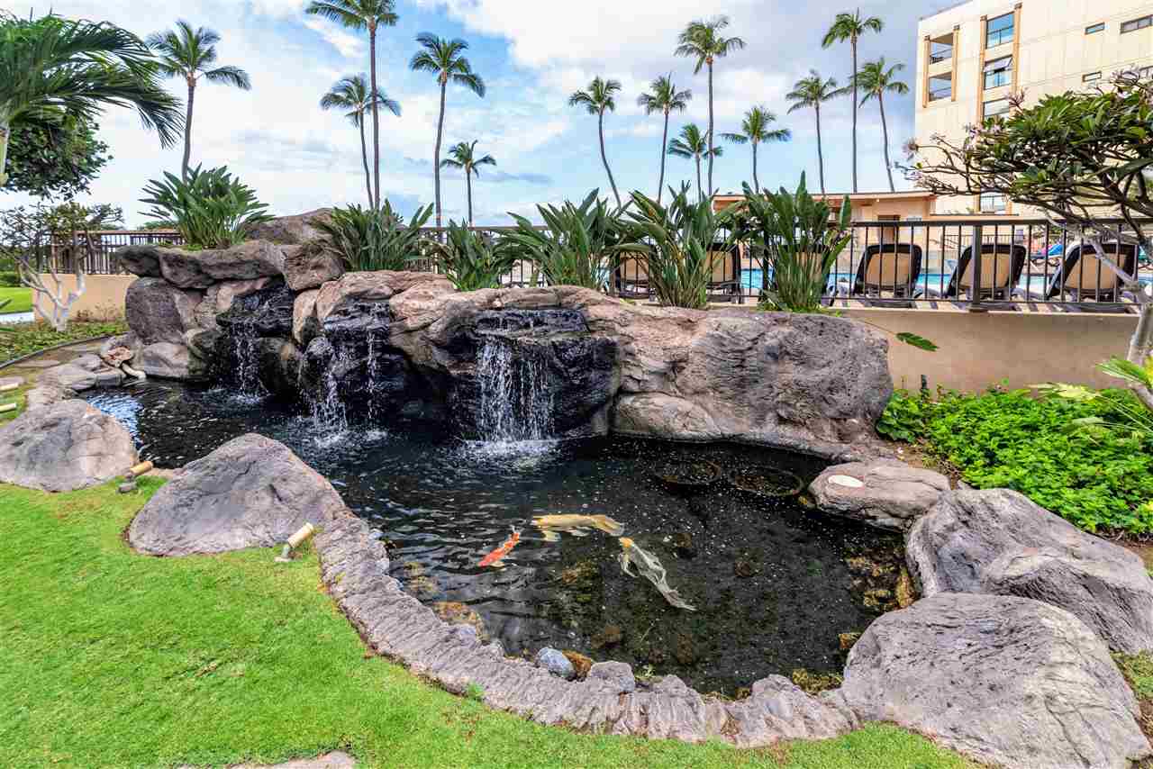 Sugar Beach Resort condo # 206, Kihei, Hawaii - photo 23 of 27