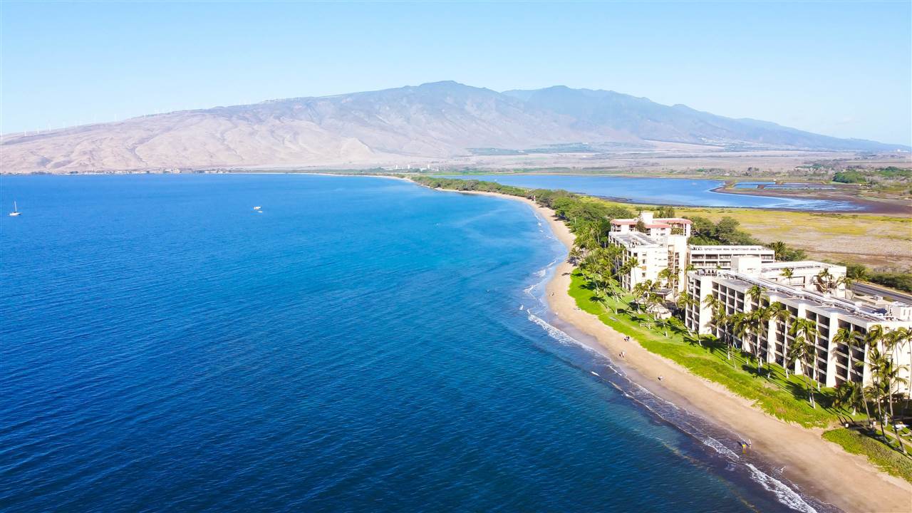 Sugar Beach Resort condo # 208, Kihei, Hawaii - photo 2 of 30