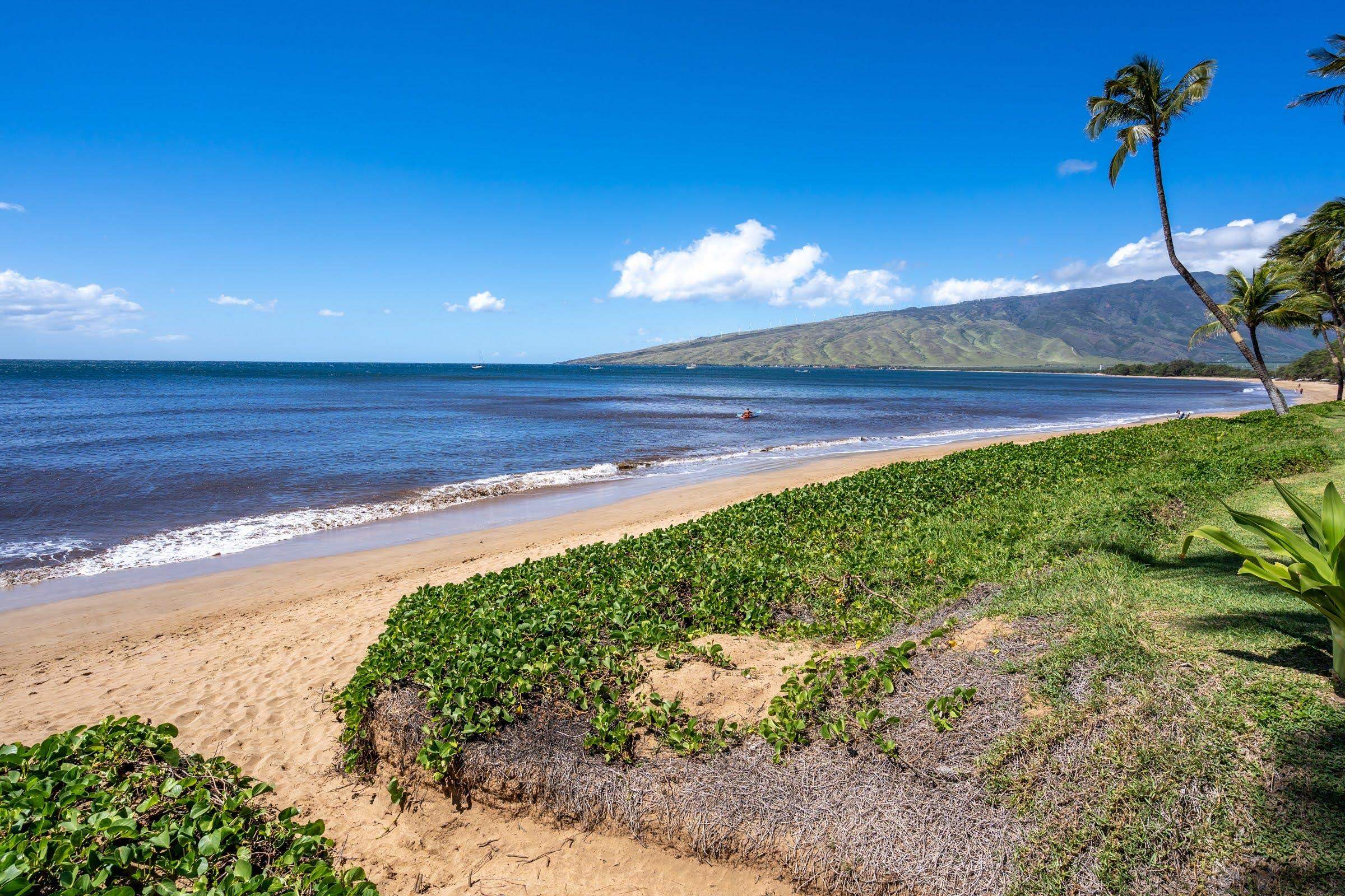 Sugar Beach Resort condo # 209, Kihei, Hawaii - photo 32 of 37