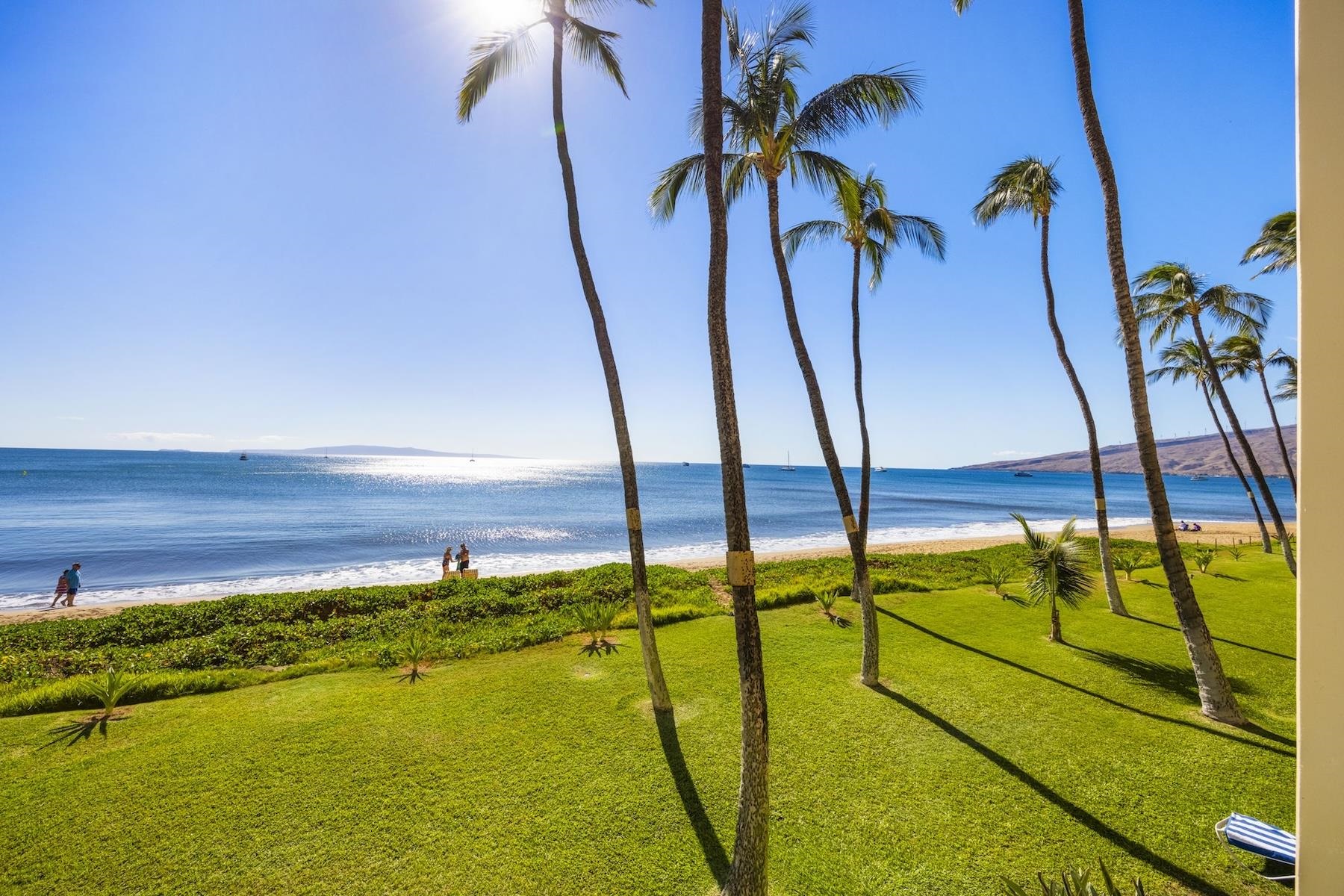 Sugar Beach Resort condo # 234, Kihei, Hawaii - photo 2 of 25