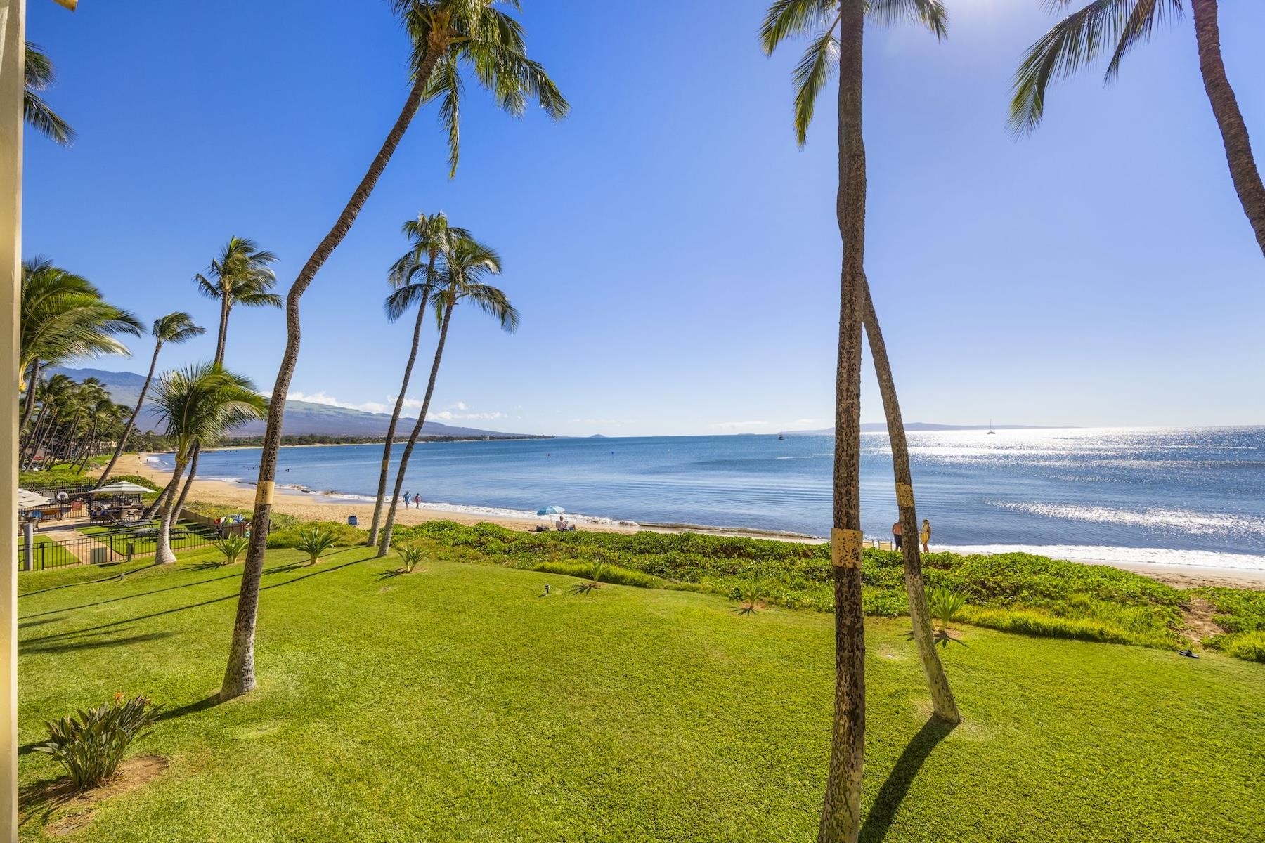 Sugar Beach Resort condo # 234, Kihei, Hawaii - photo 3 of 25