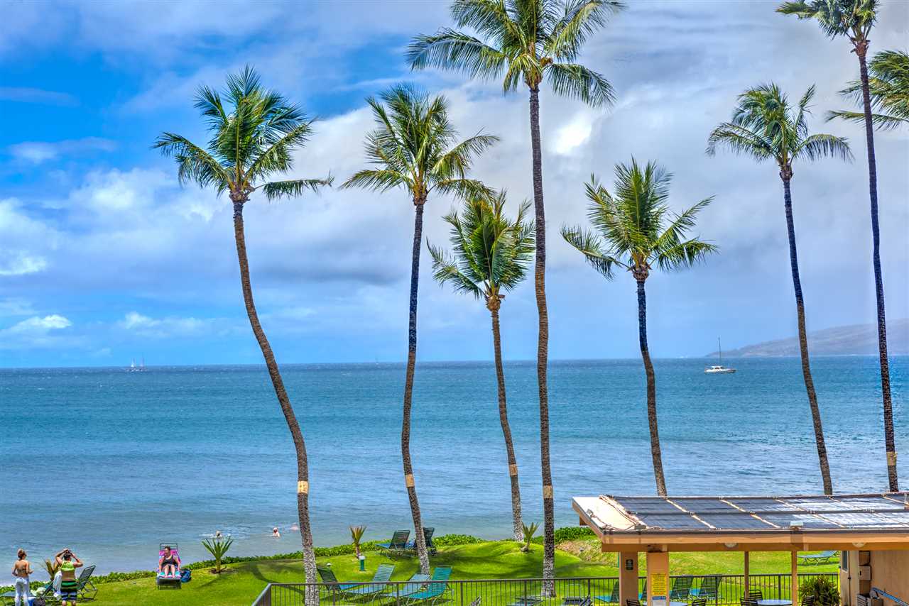 Sugar Beach Resort condo # 308, Kihei, Hawaii - photo 19 of 30